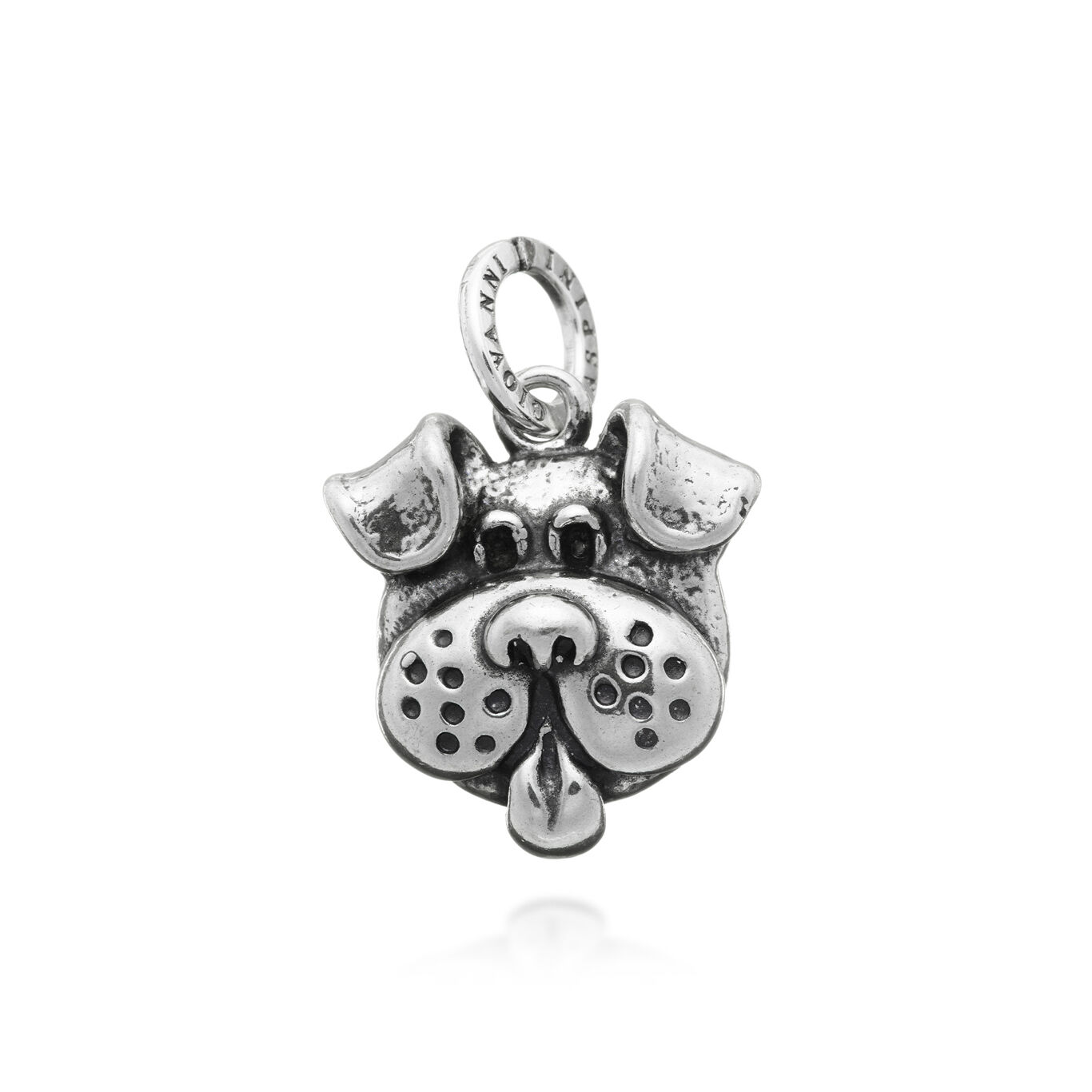 Charm Dog