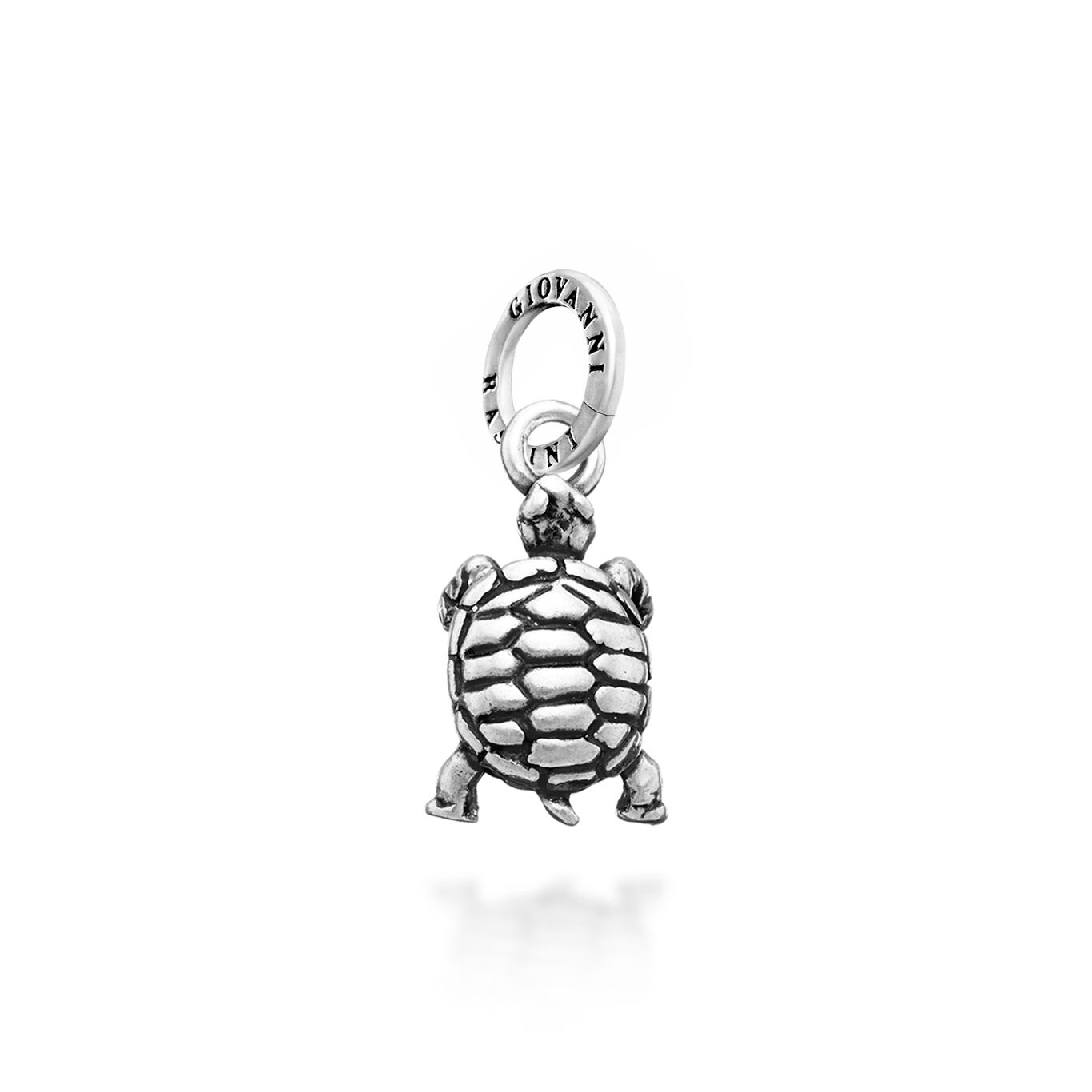 Charm Tortuga