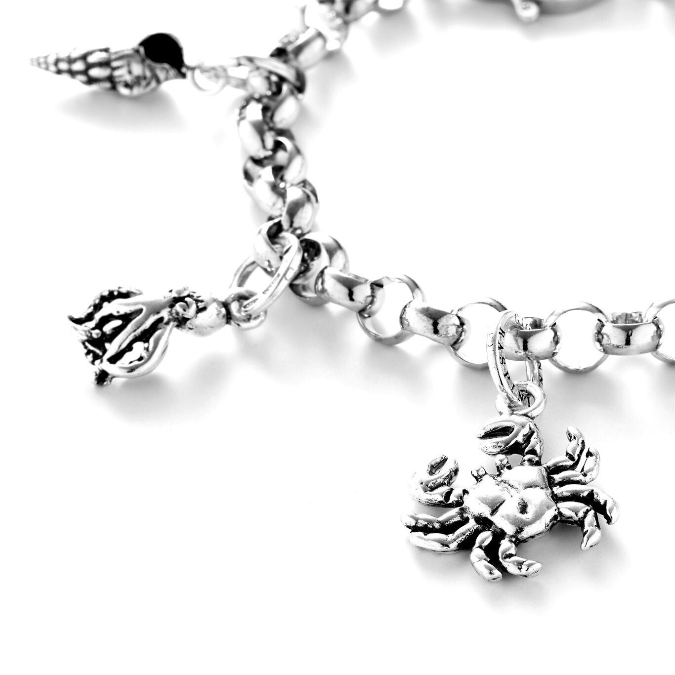 Cancer Charm