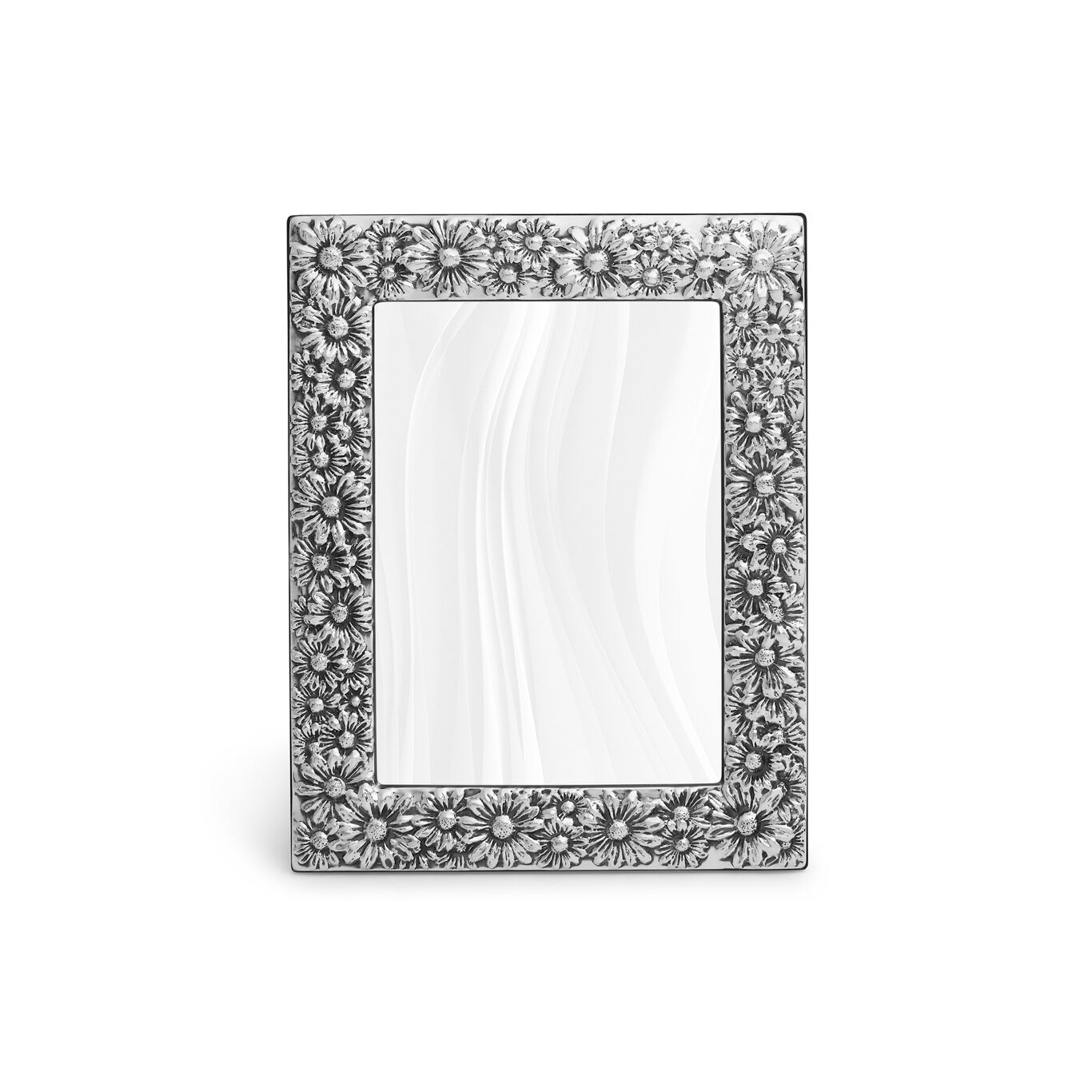 Daisies Frame