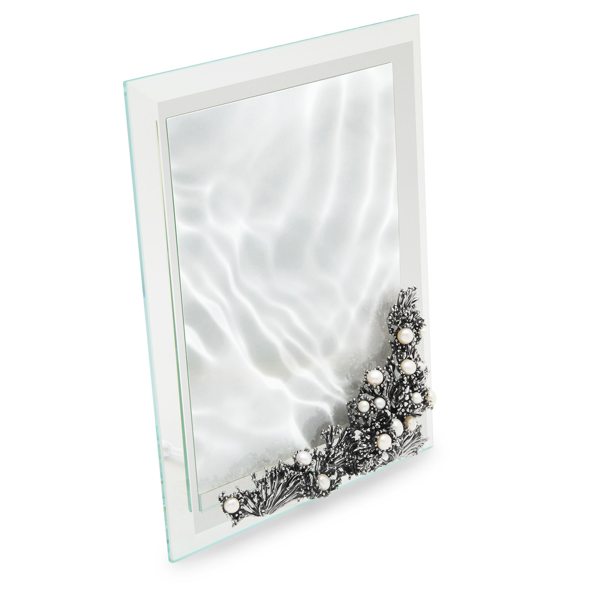 Anemone Light Frame image number 1