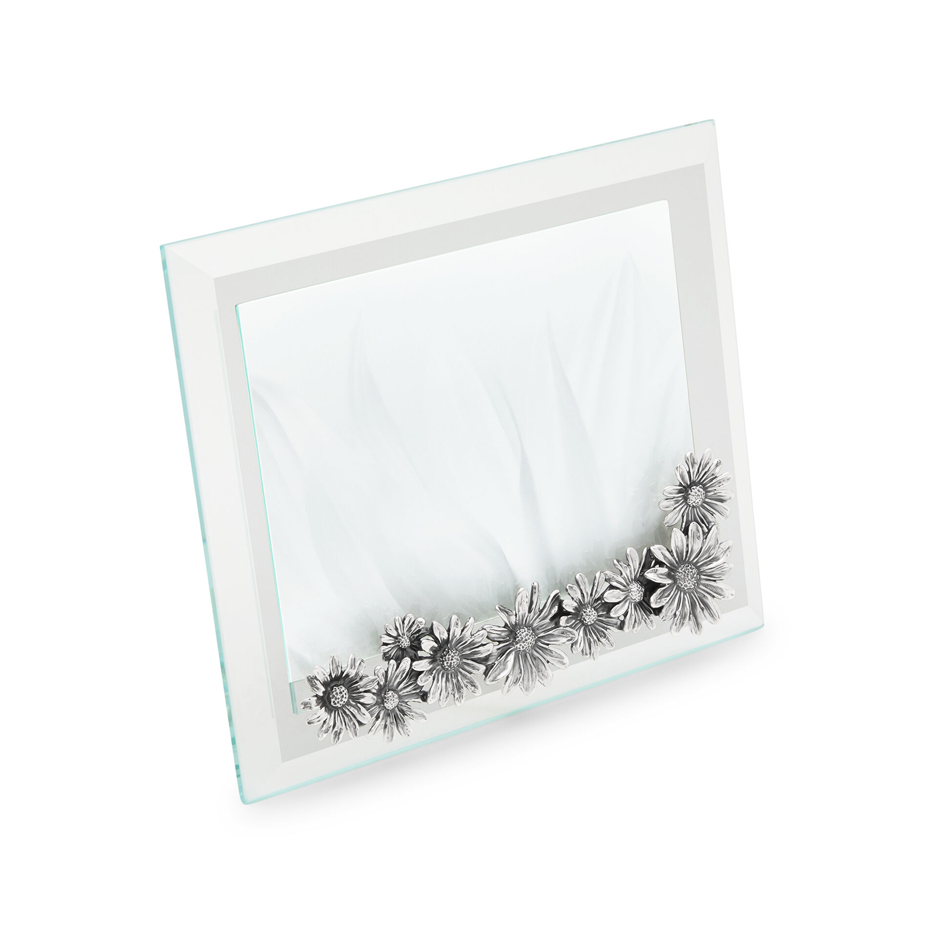 Daisies Medium Horizontal Light Frame image number 1