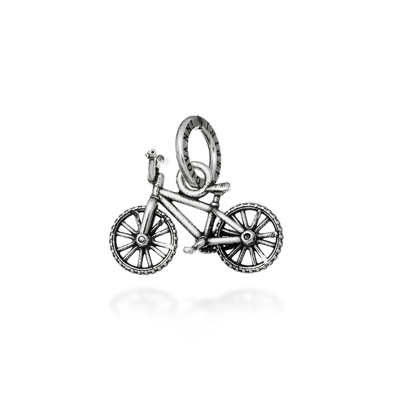 Charm Mountainbike