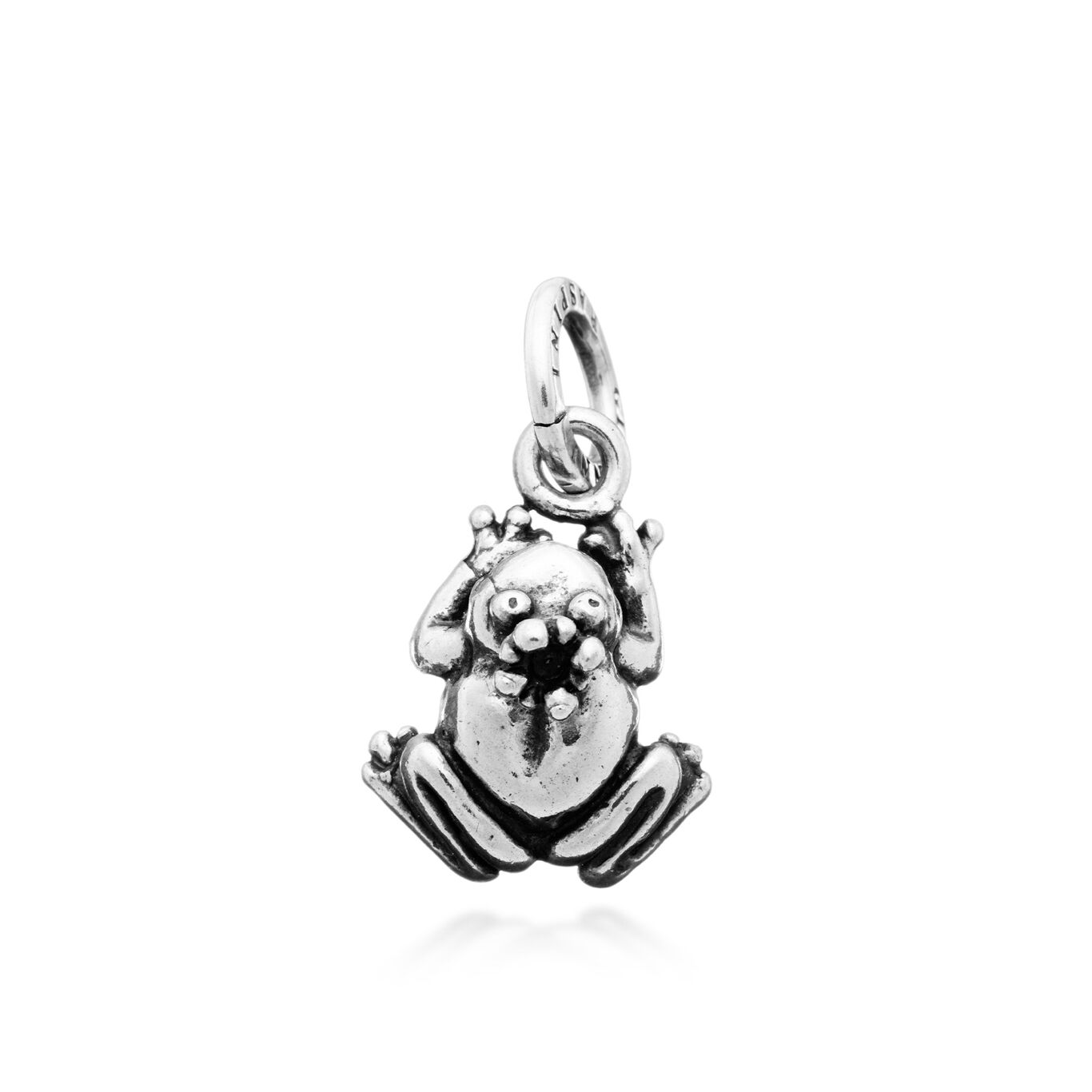 Frog Prince Charm