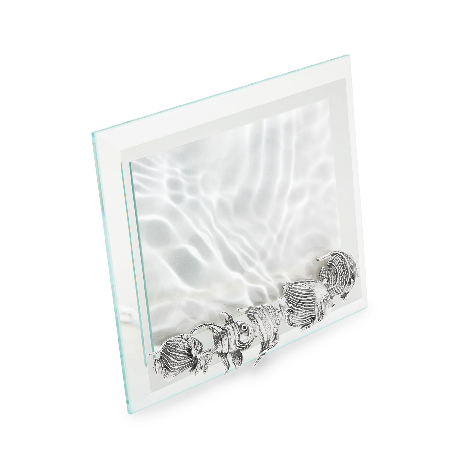 Fishes Medium Horizontal Light Frame image number 1