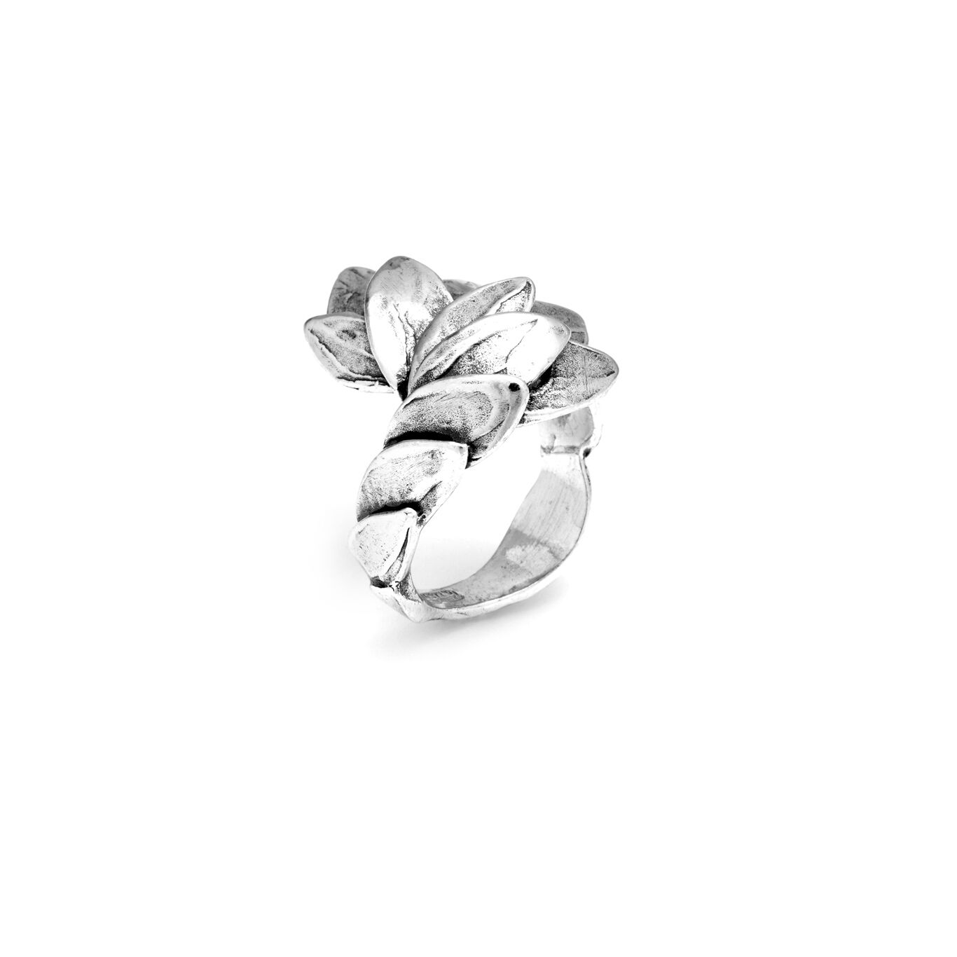Ring Skin