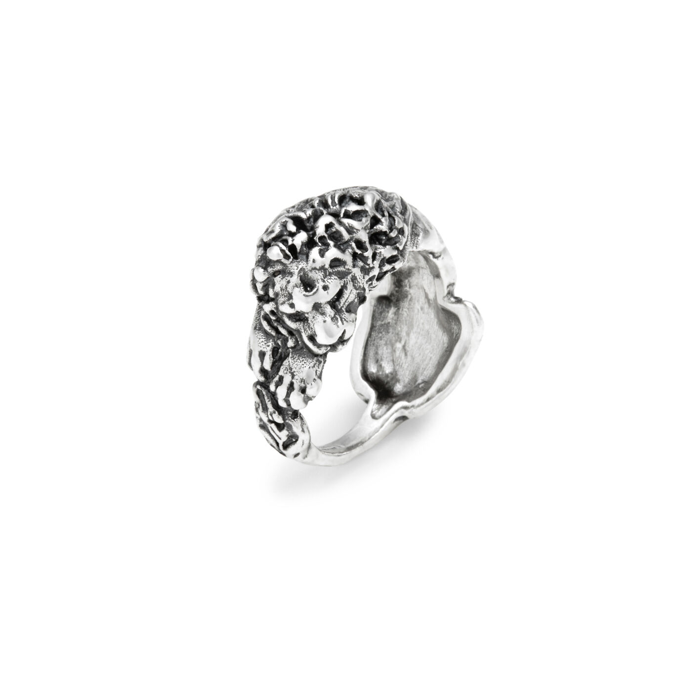Ring L&ouml;we