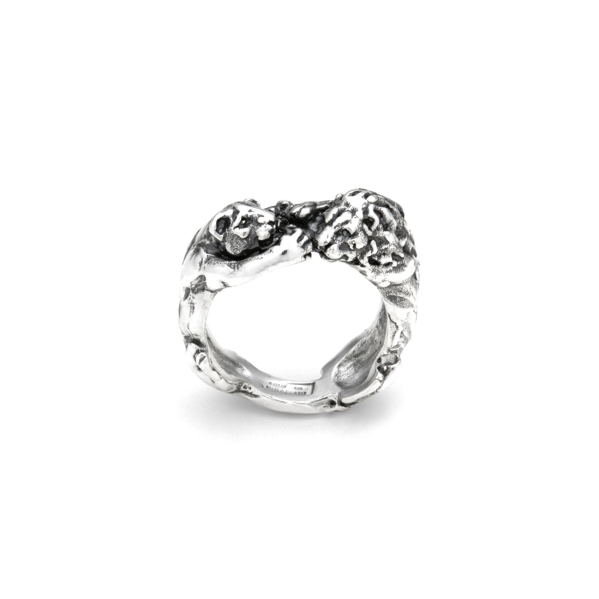 Anillo Leones image number 2