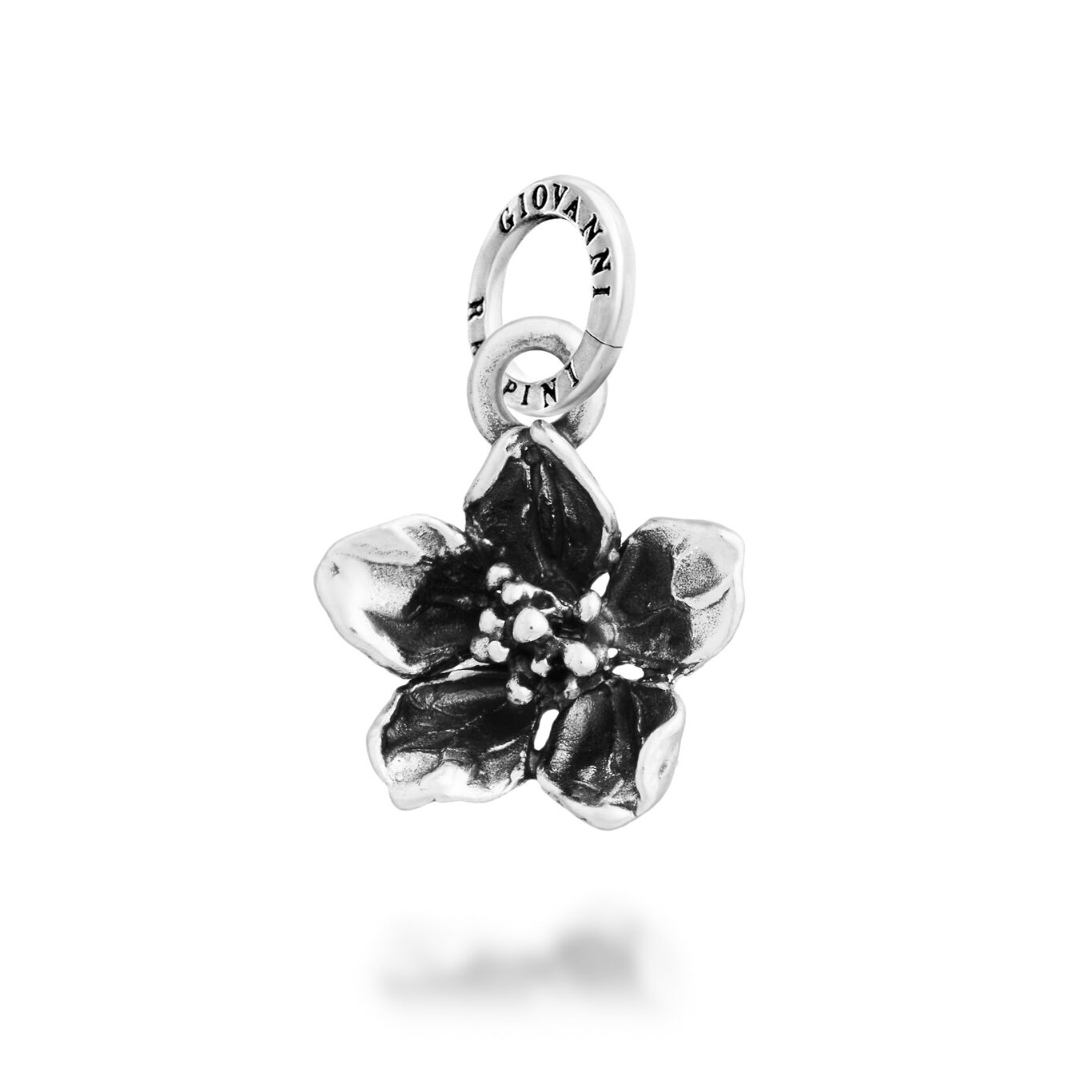 Charm Kirschbl&uuml;te