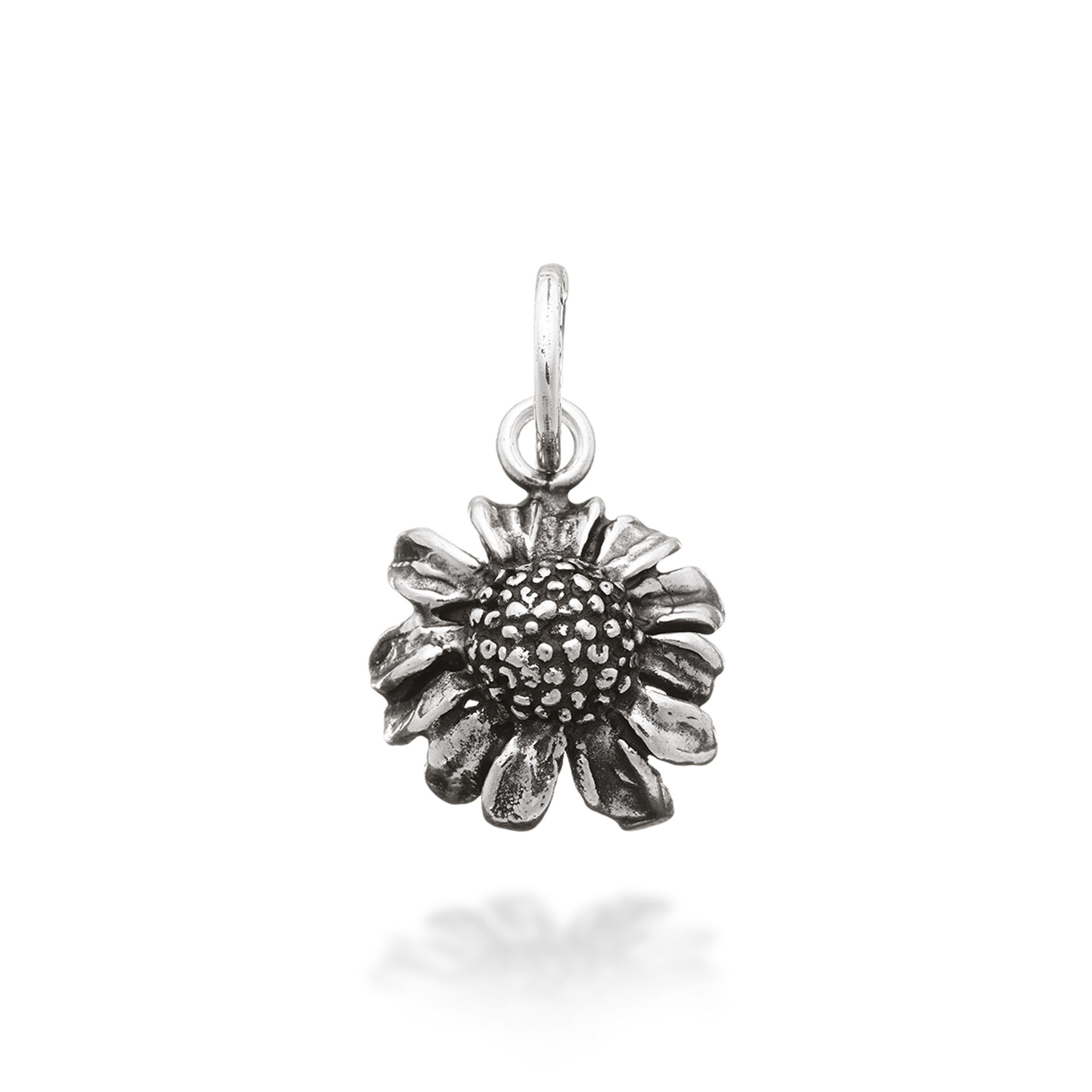 Chamomille Charm image number 0