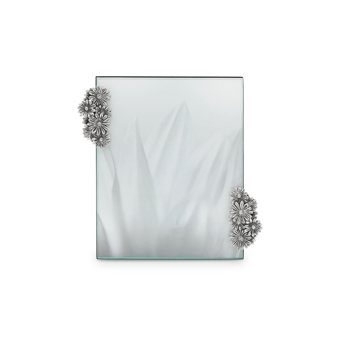 Garden Large Clip Frame