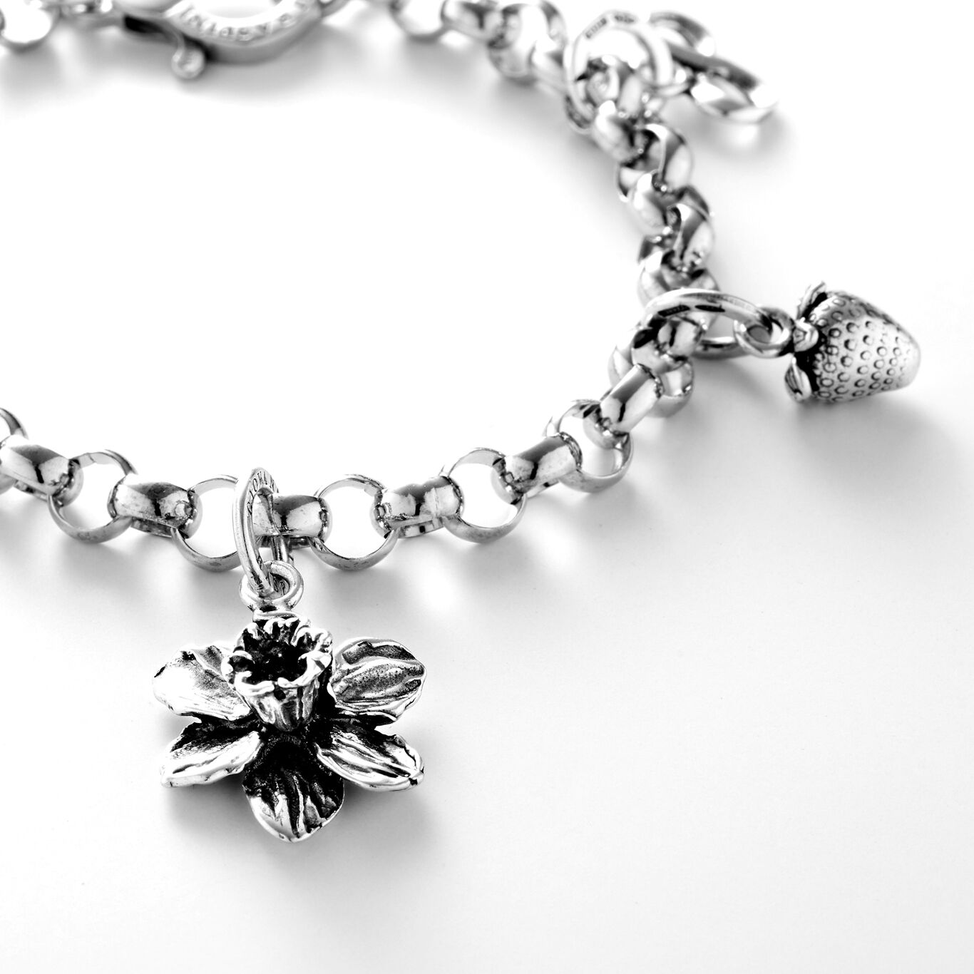 Narcissus Charm