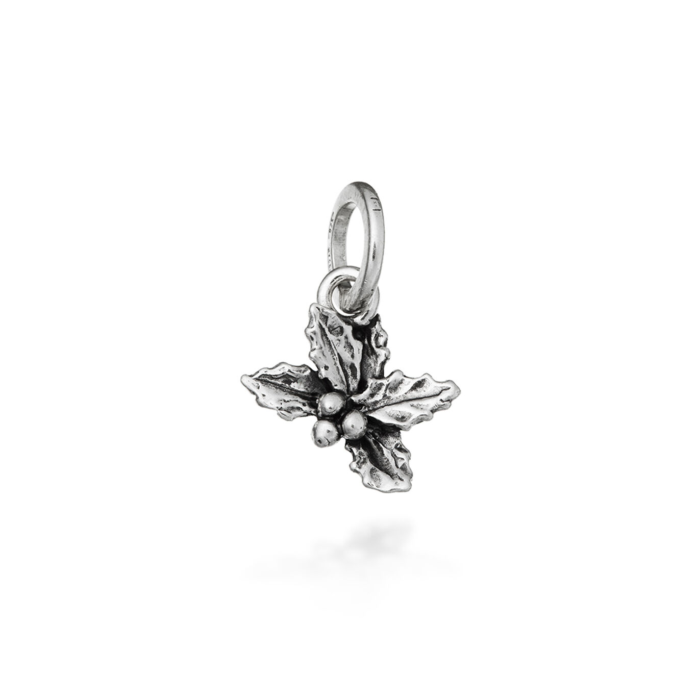 Charm Agrifoglio