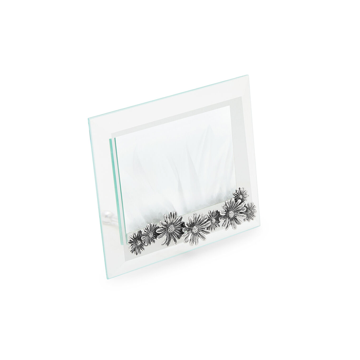 Daisies Small Horizontal Light Frame
