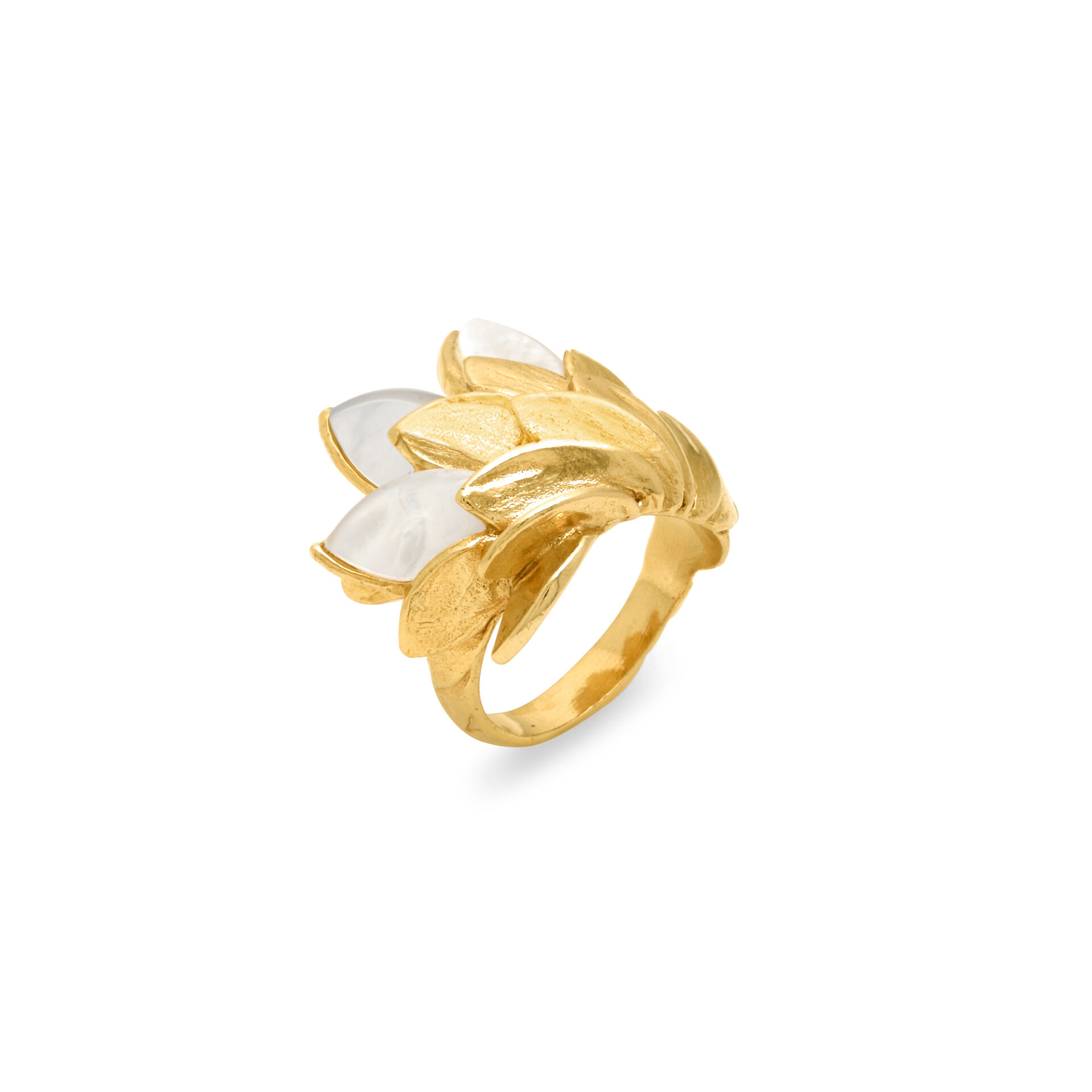 Gold Skin Ring image number 0