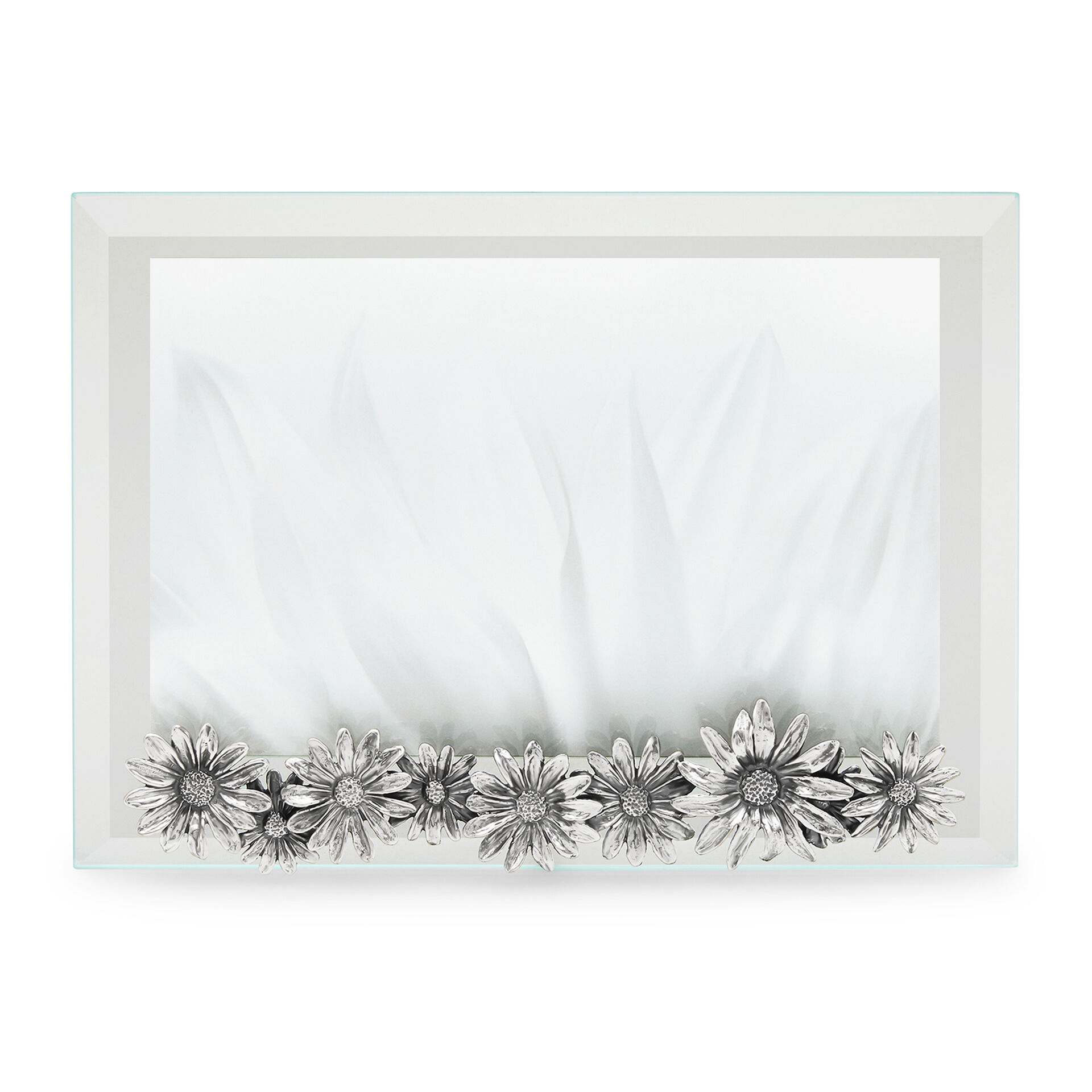 Daisies Large Horizontal Light Frame image number 0