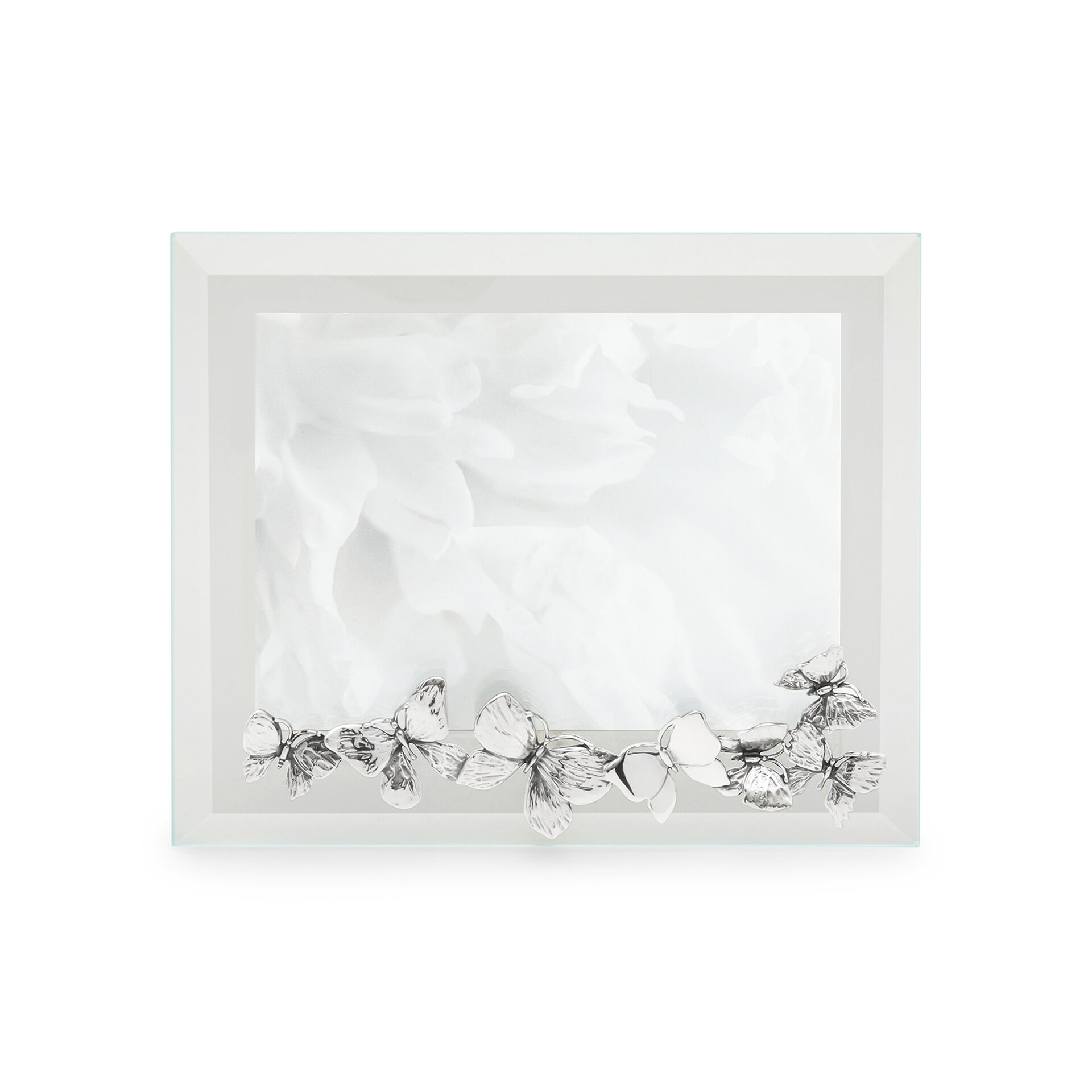 Butterflies Large Horizontal Light Frame image number 1