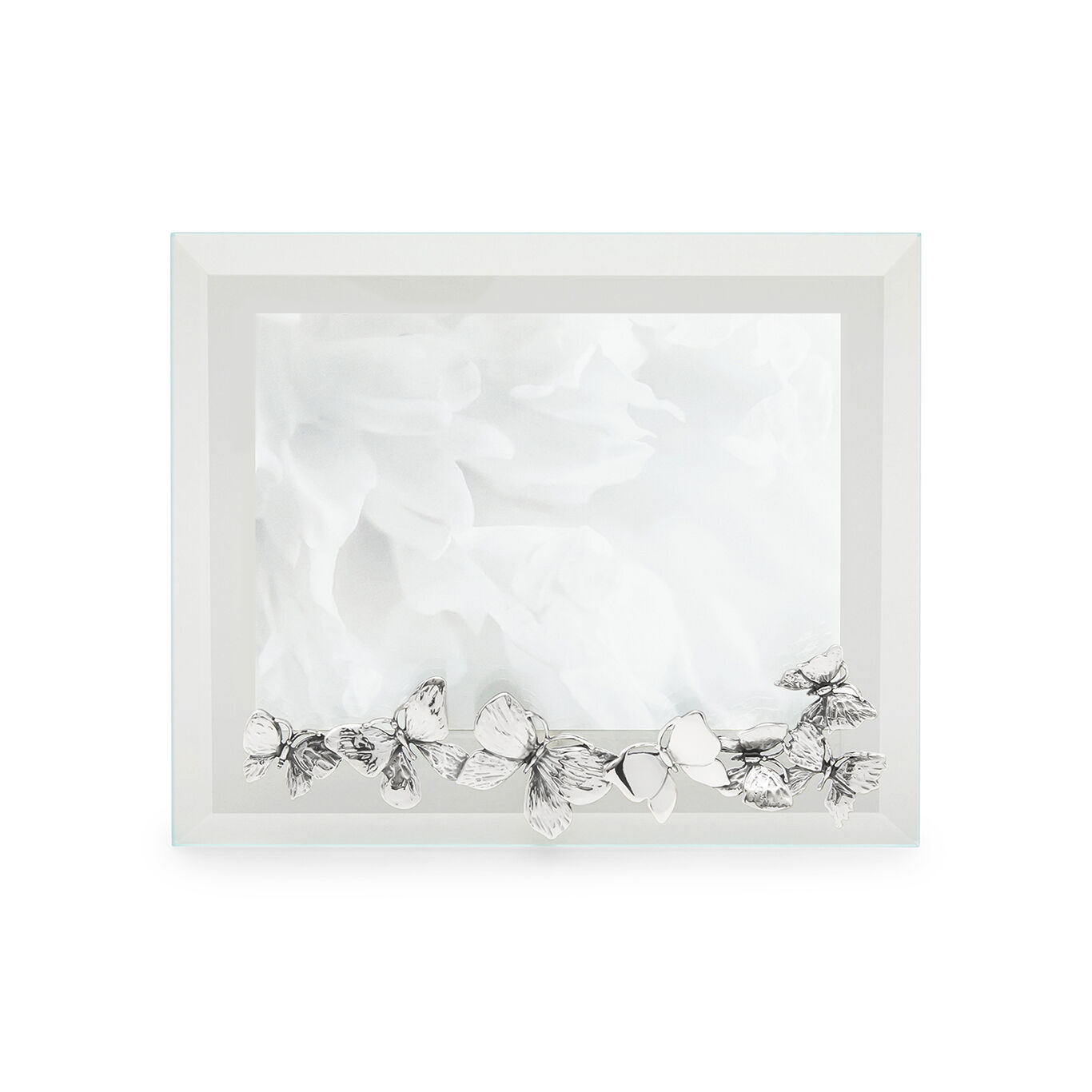 Butterflies Small Horizontal Light Frame, Bevelled glass and silver frame_image number 1_Giovanni Raspini