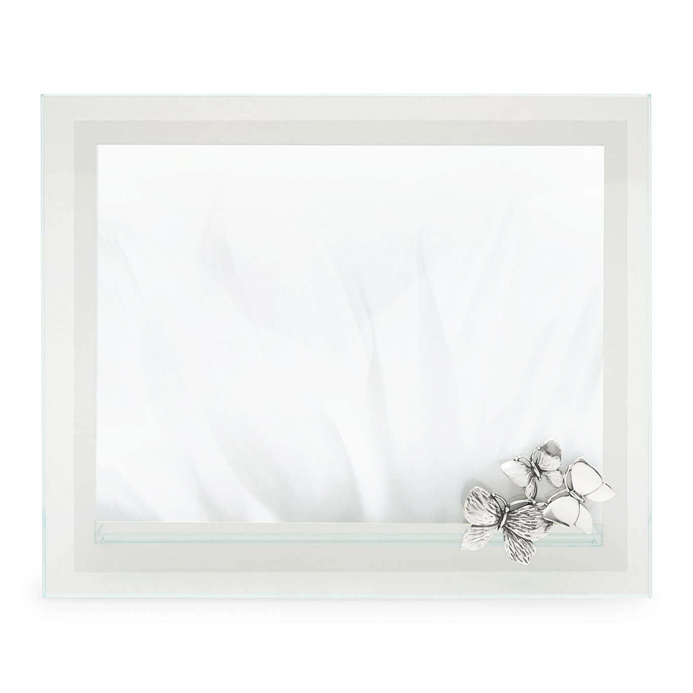 Butterflies Frame