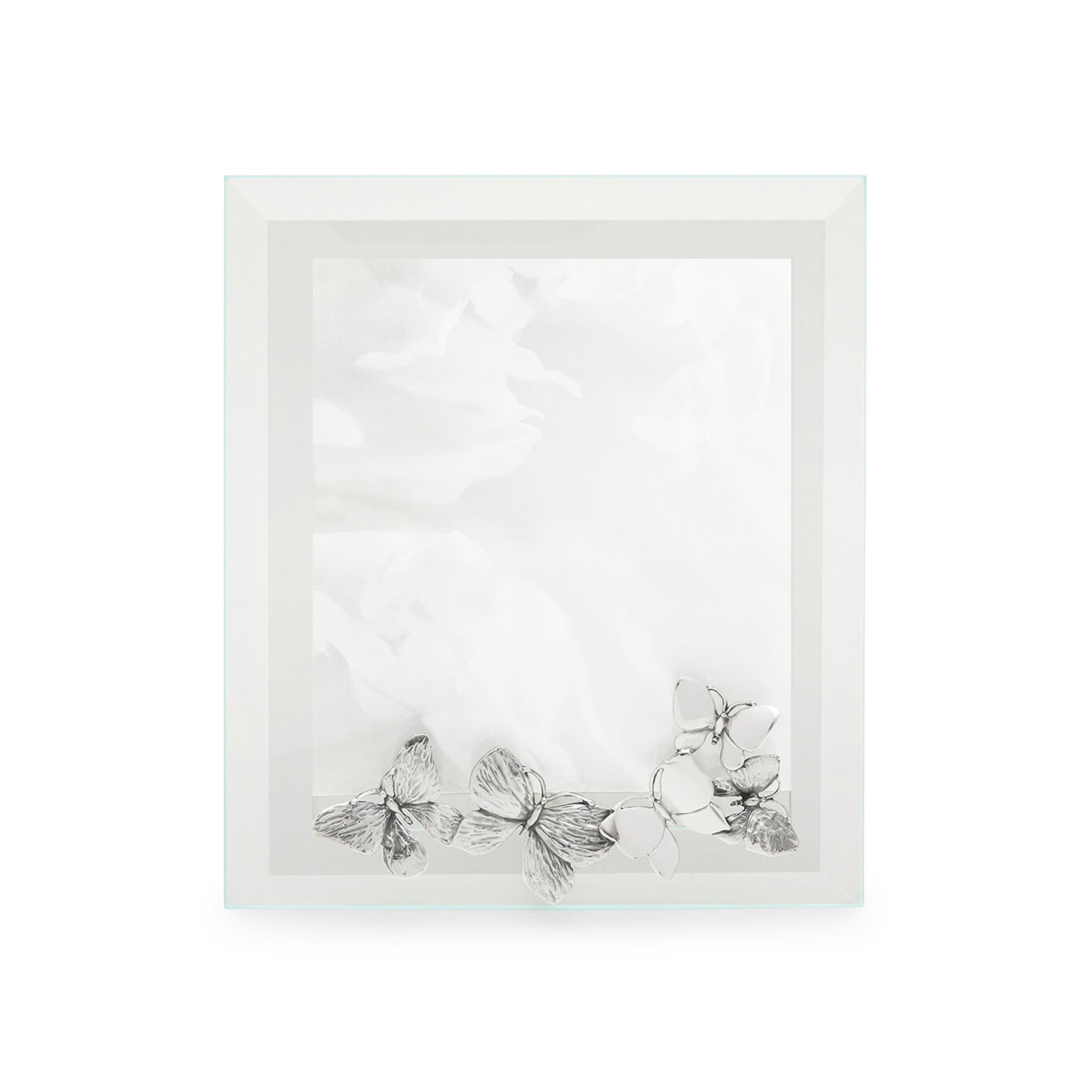 Licht-Rahmen Schmetterling Mittel