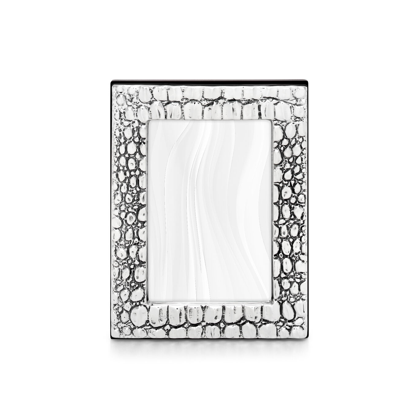 Crocodile Small Frame