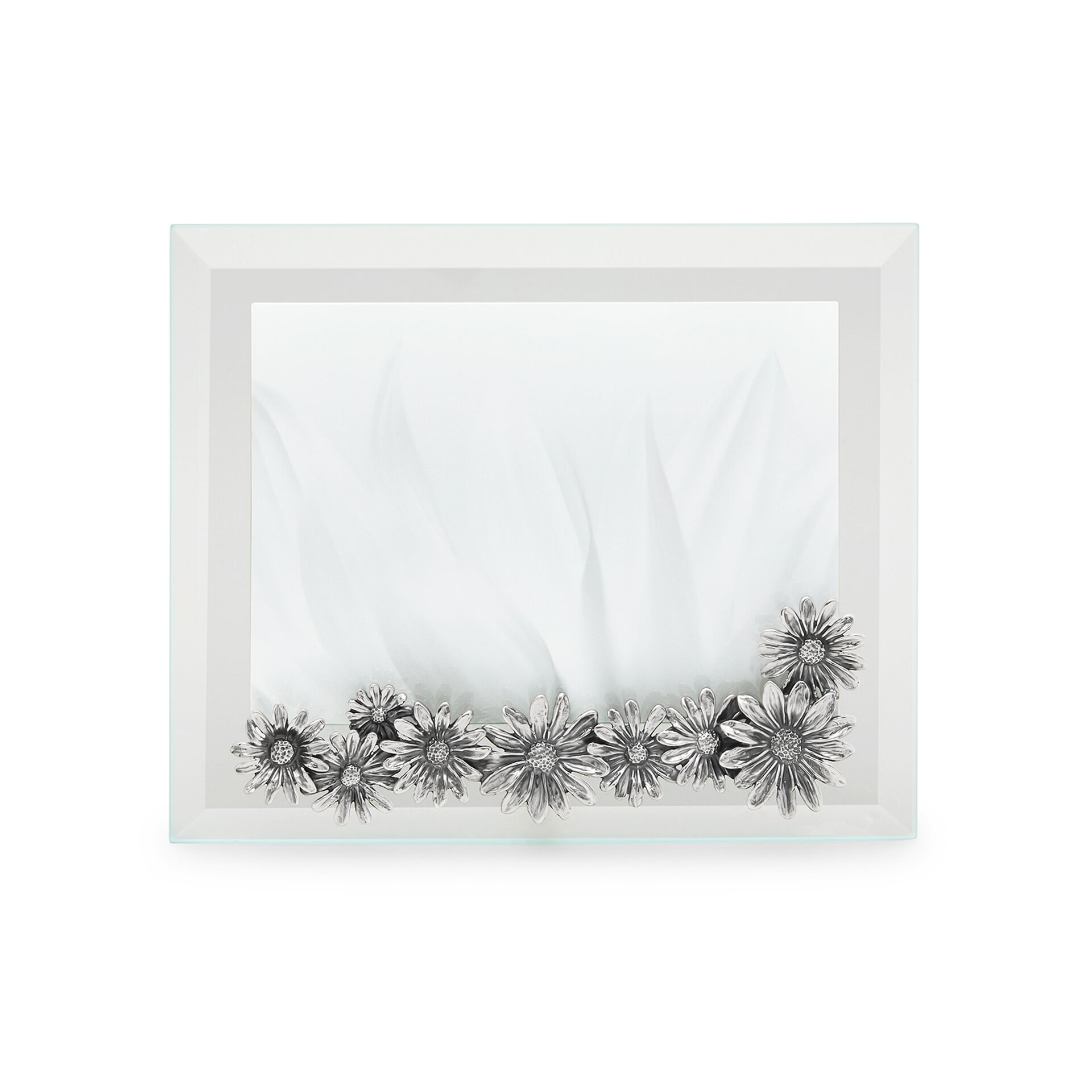 Daisies Medium Horizontal Light Frame image number 0