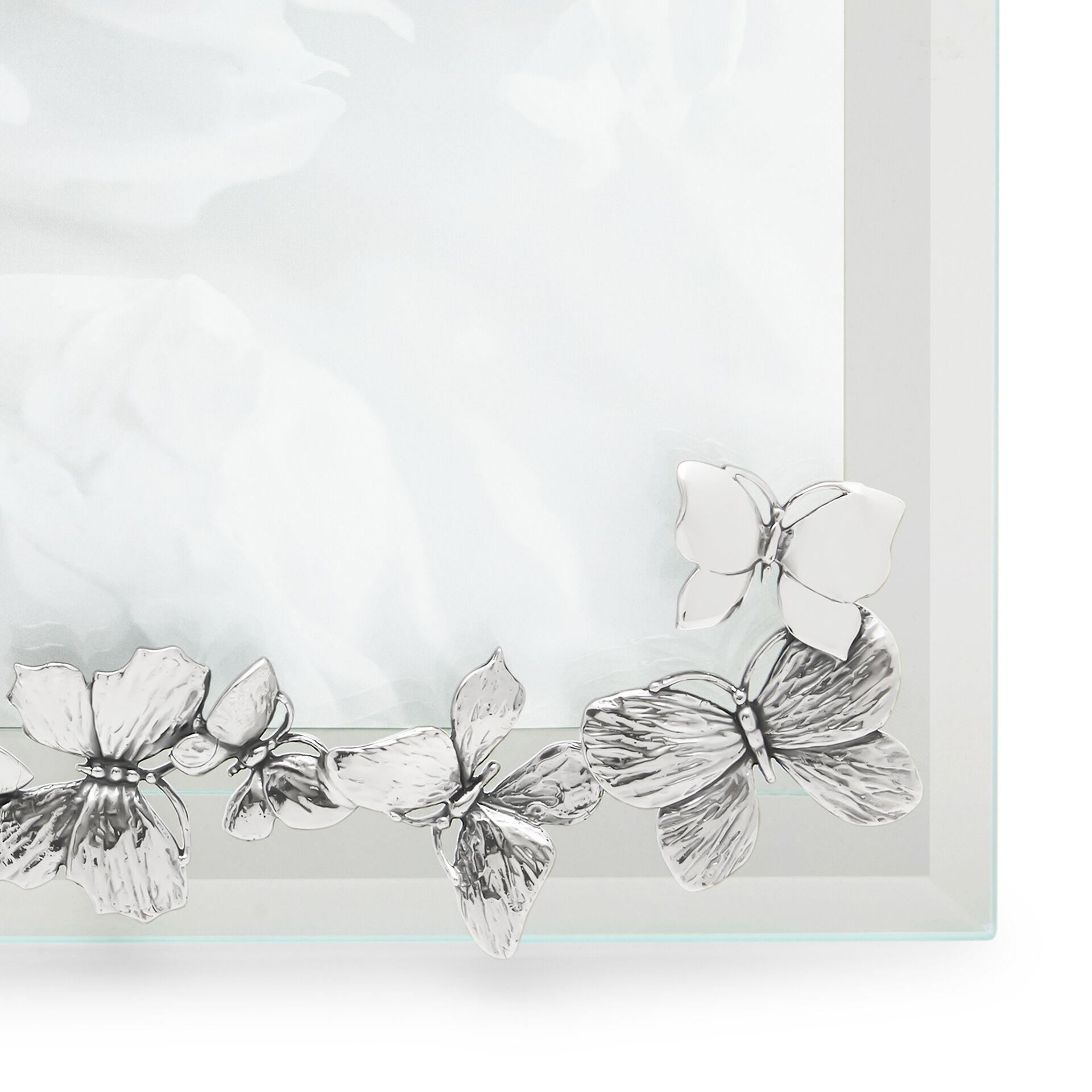 Butterflies Large Horizontal Light Frame image number 11