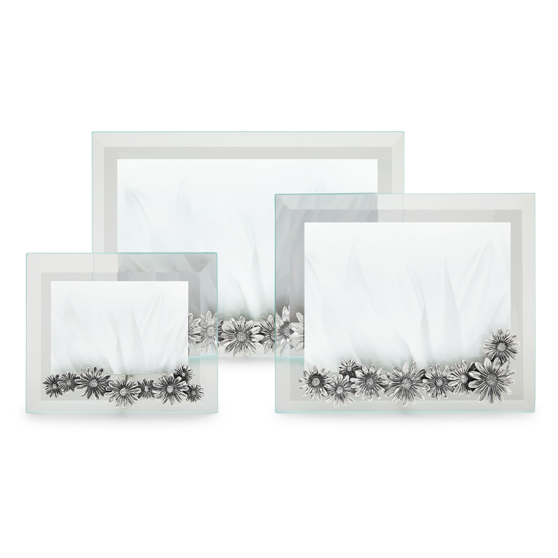Daisies Small Horizontal Light Frame image number 4