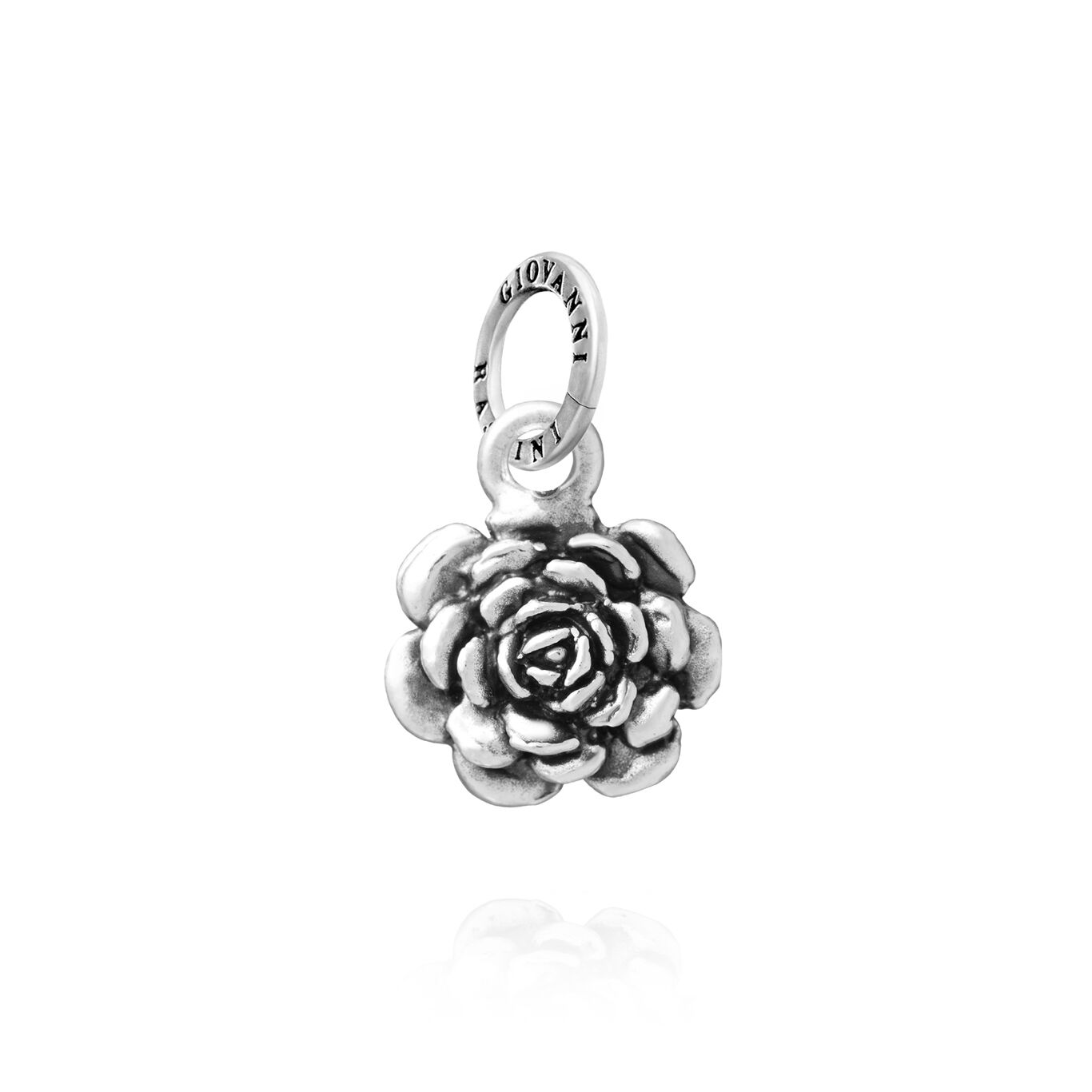 Charm Camelia