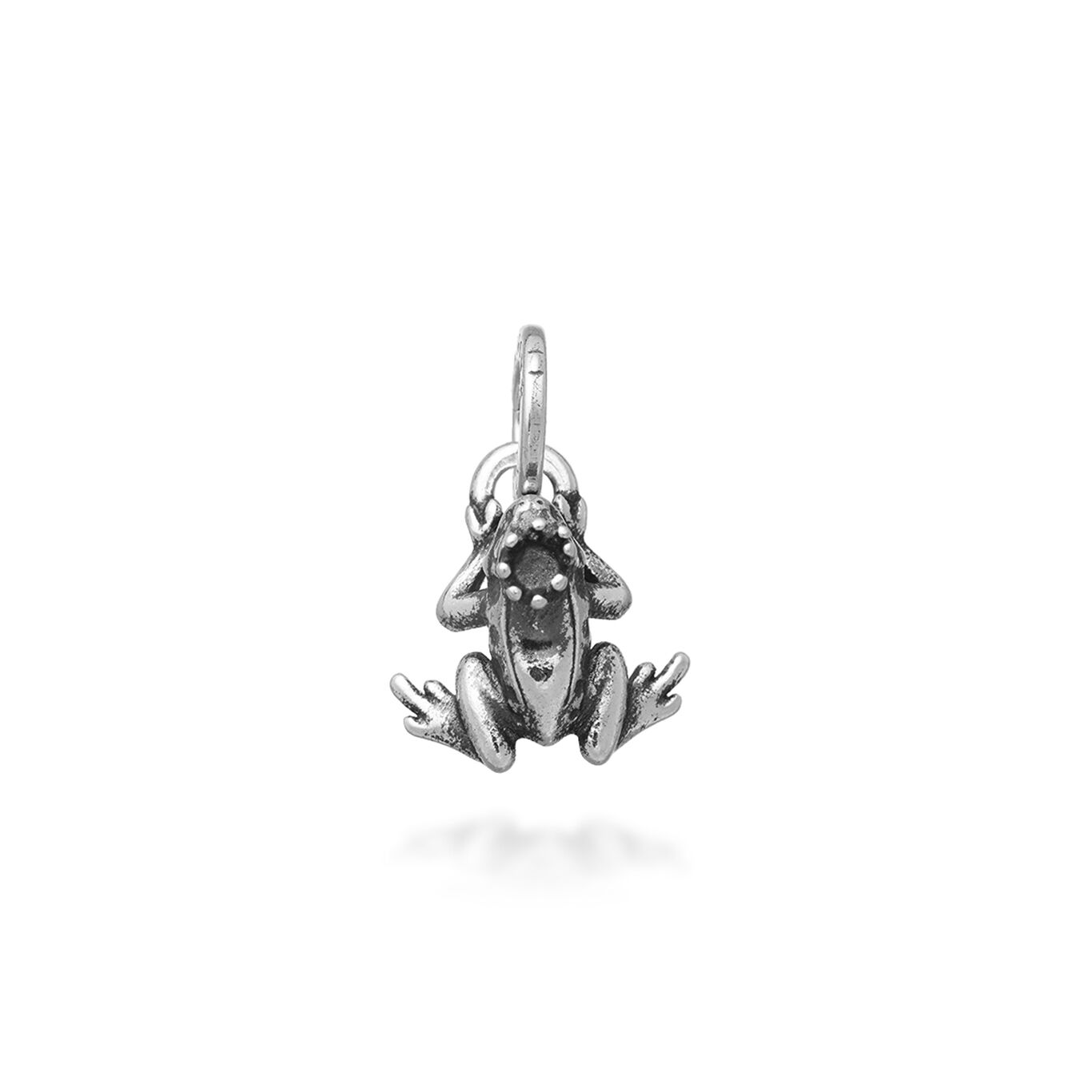 Frog Prince Mini Charm