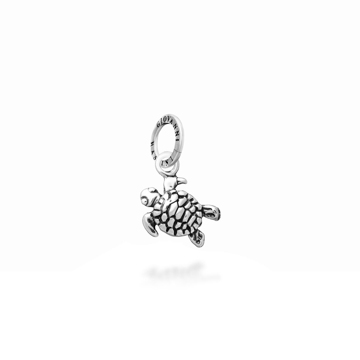 Turtle Mini Charm