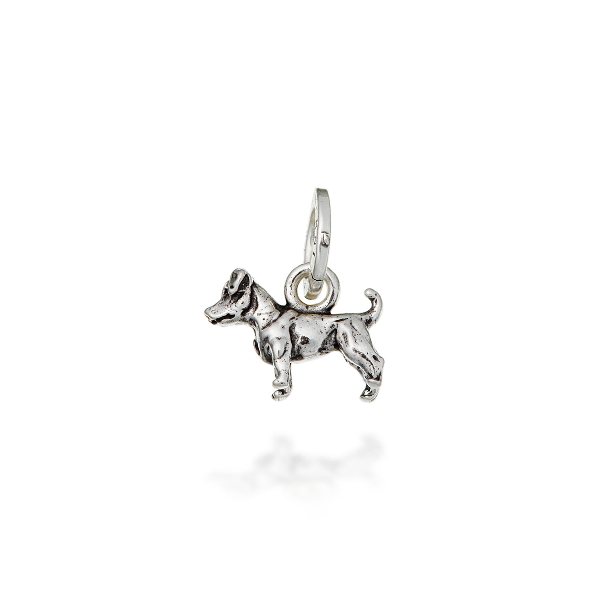 Charm Jack Russel image number 0
