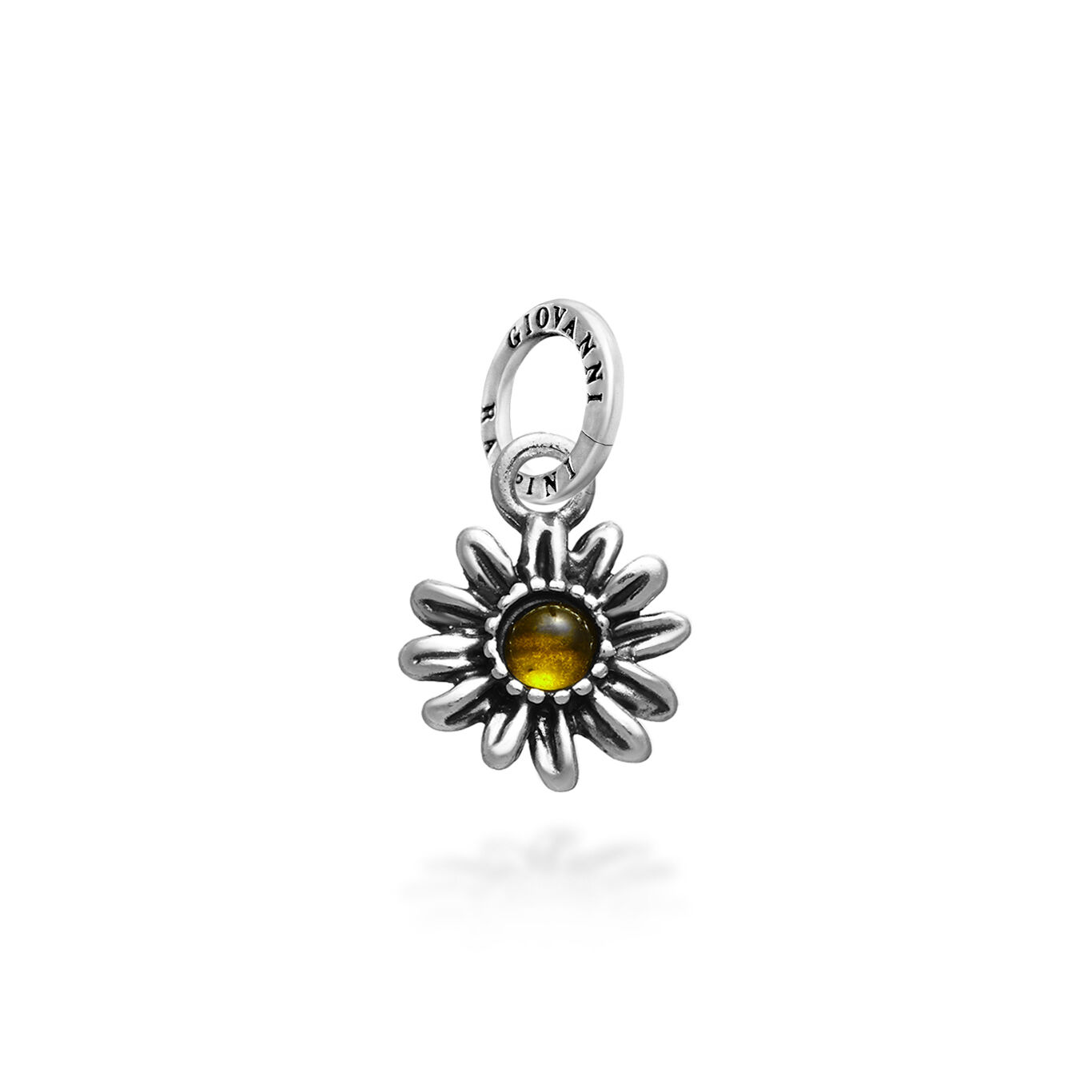 Charm Gänseblümchen Color