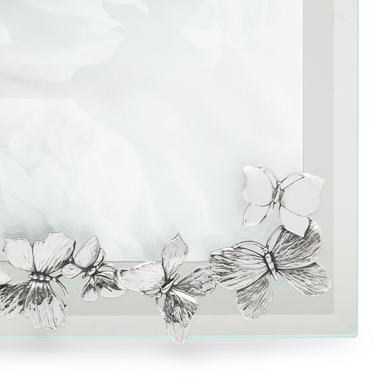 Butterflies Small Horizontal Light Frame, Bevelled glass and silver frame_image number 11_Giovanni Raspini