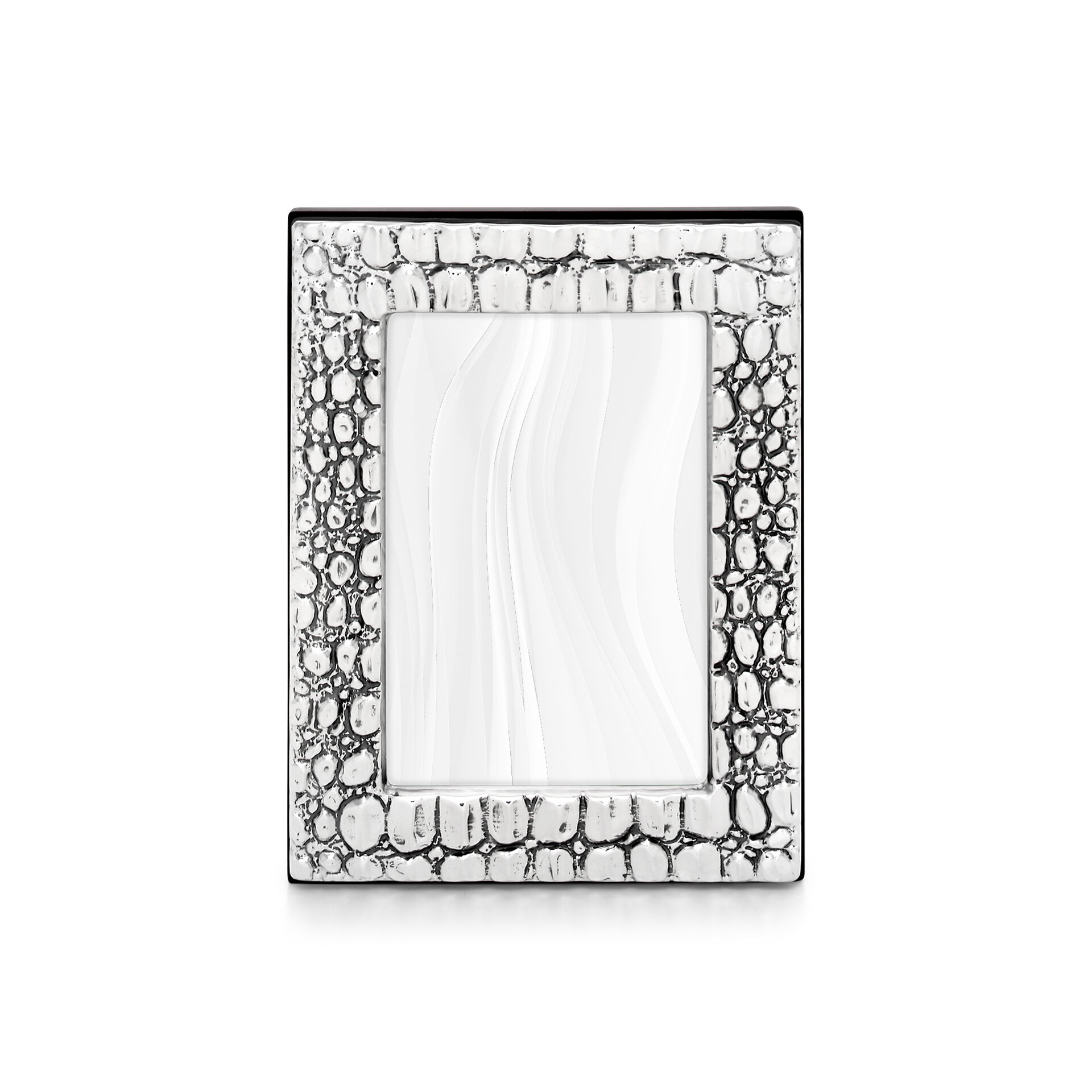 Crocodile Small Frame image number 0