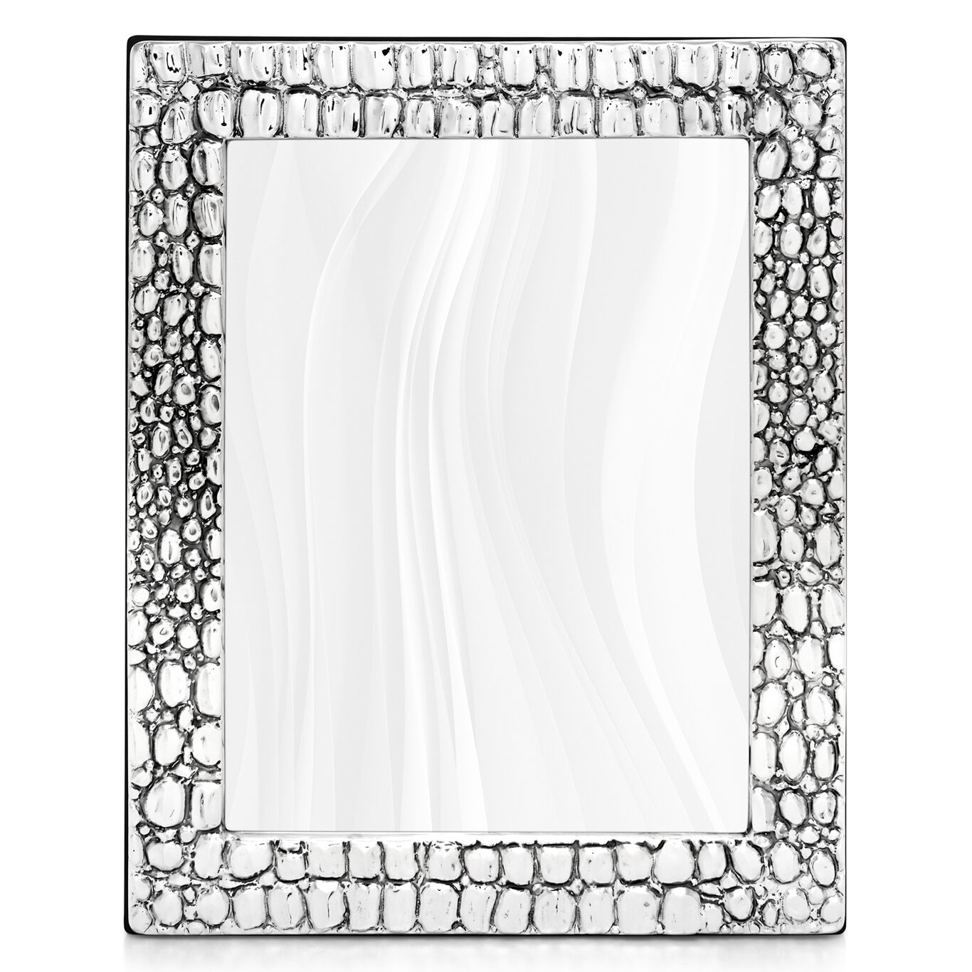 Crocodile Big Frame