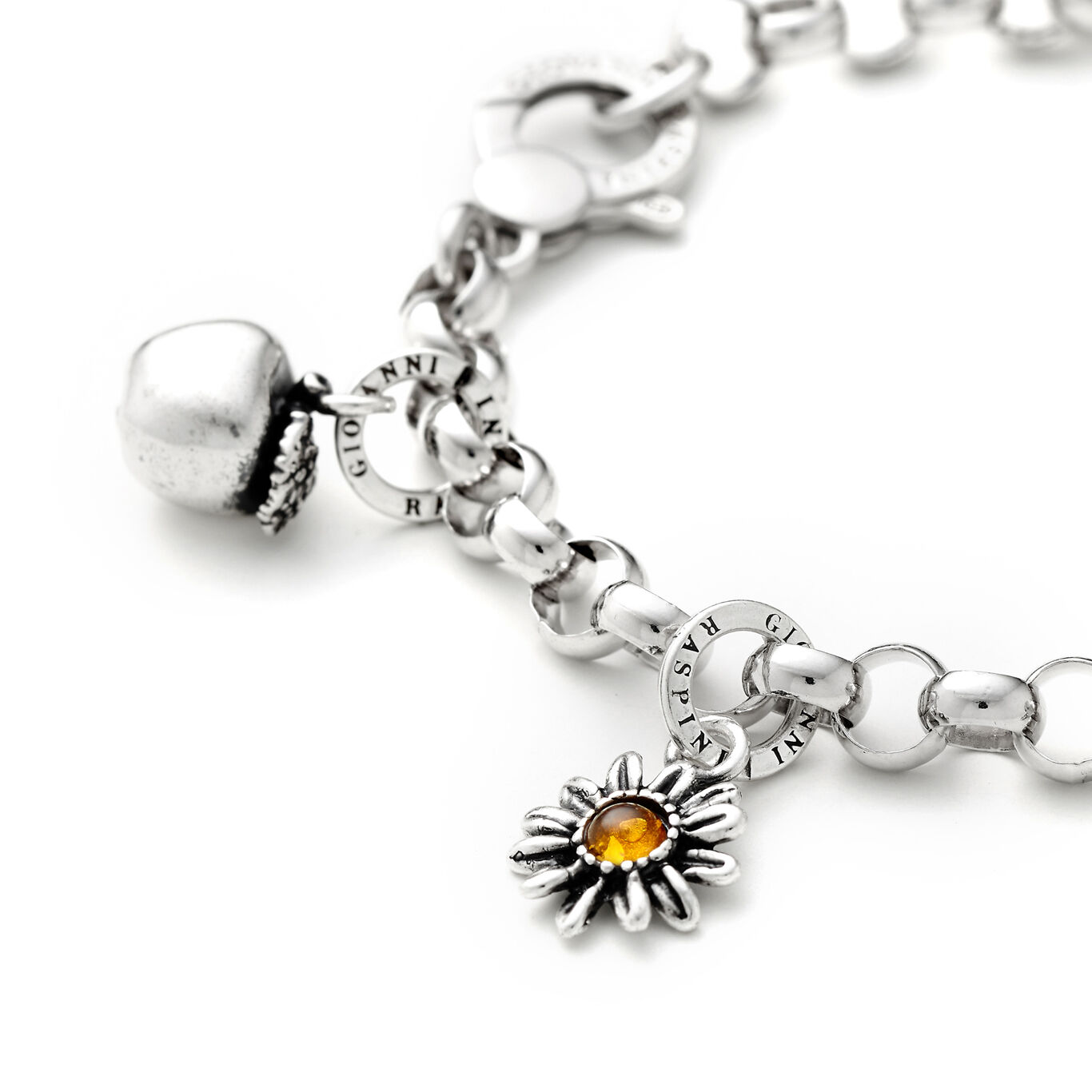 Charm Gänseblümchen Color