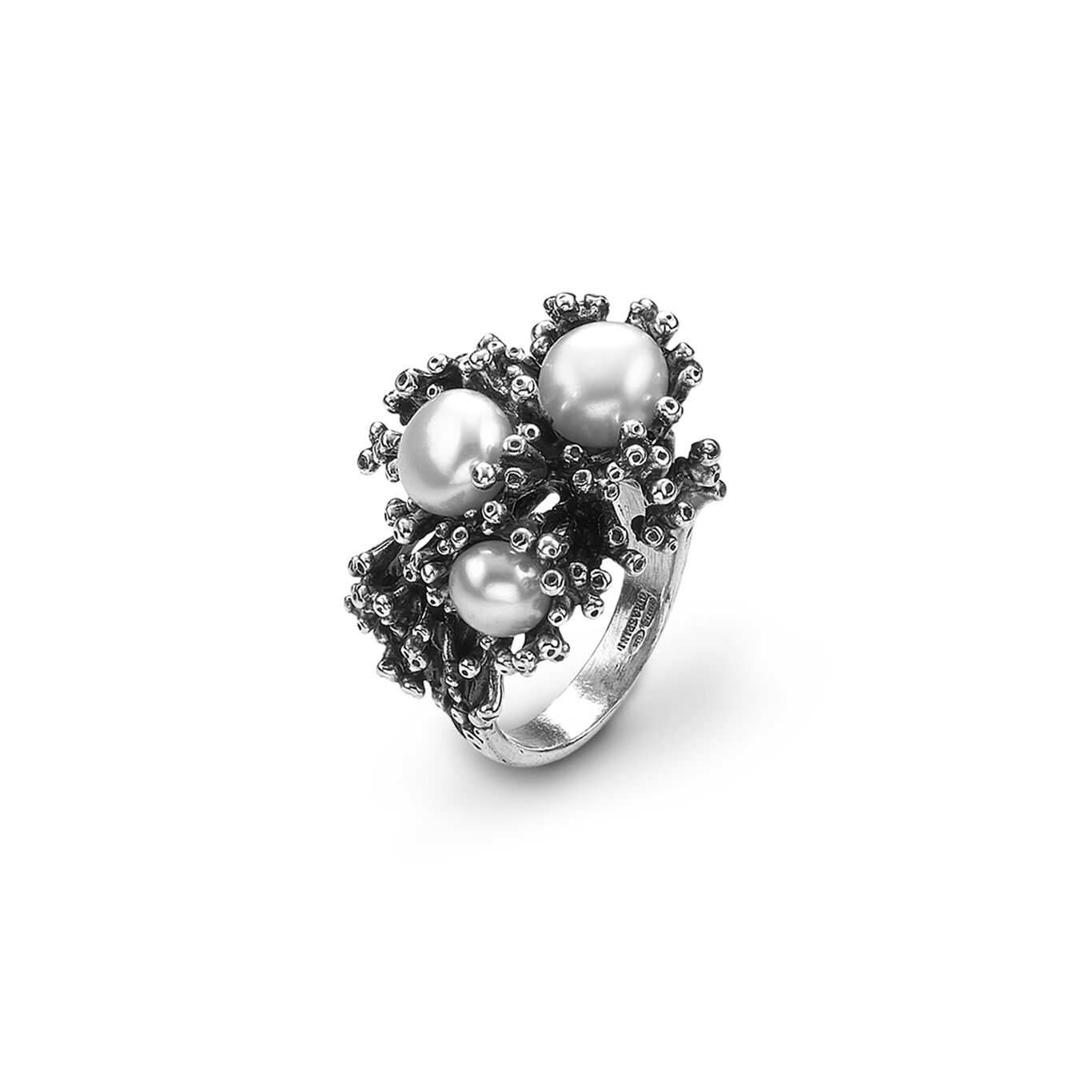 Ring Anemone gro&szlig;