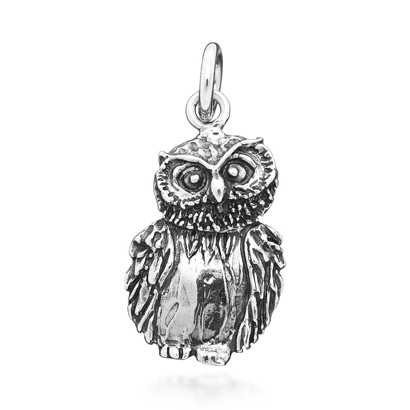 Big Owl Charm