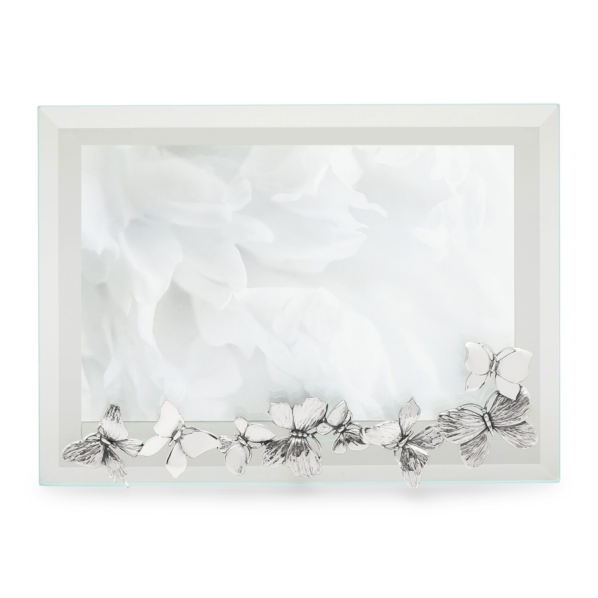 Butterflies Large Horizontal Light Frame image number 2