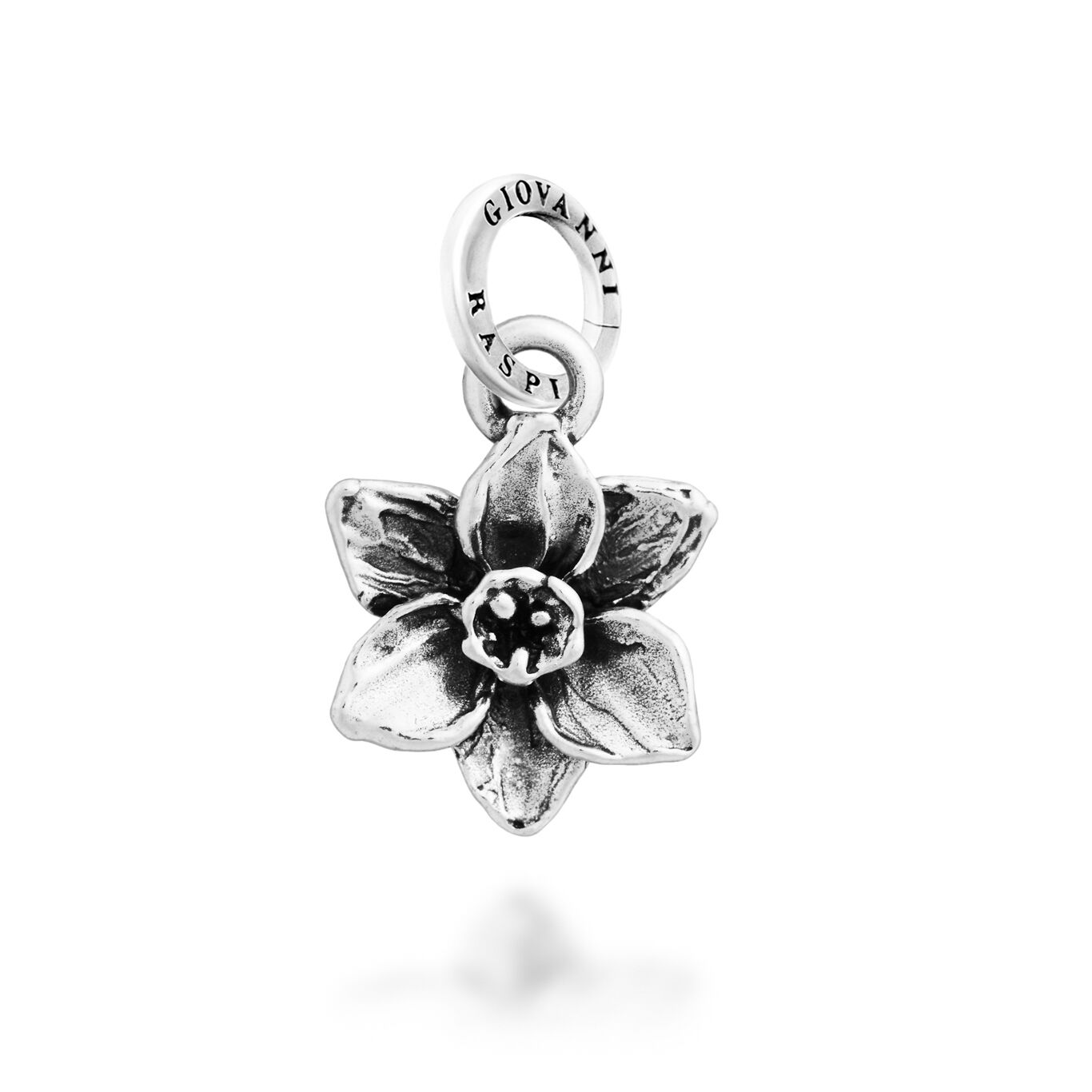 Charm Narciso peque&ntilde;o