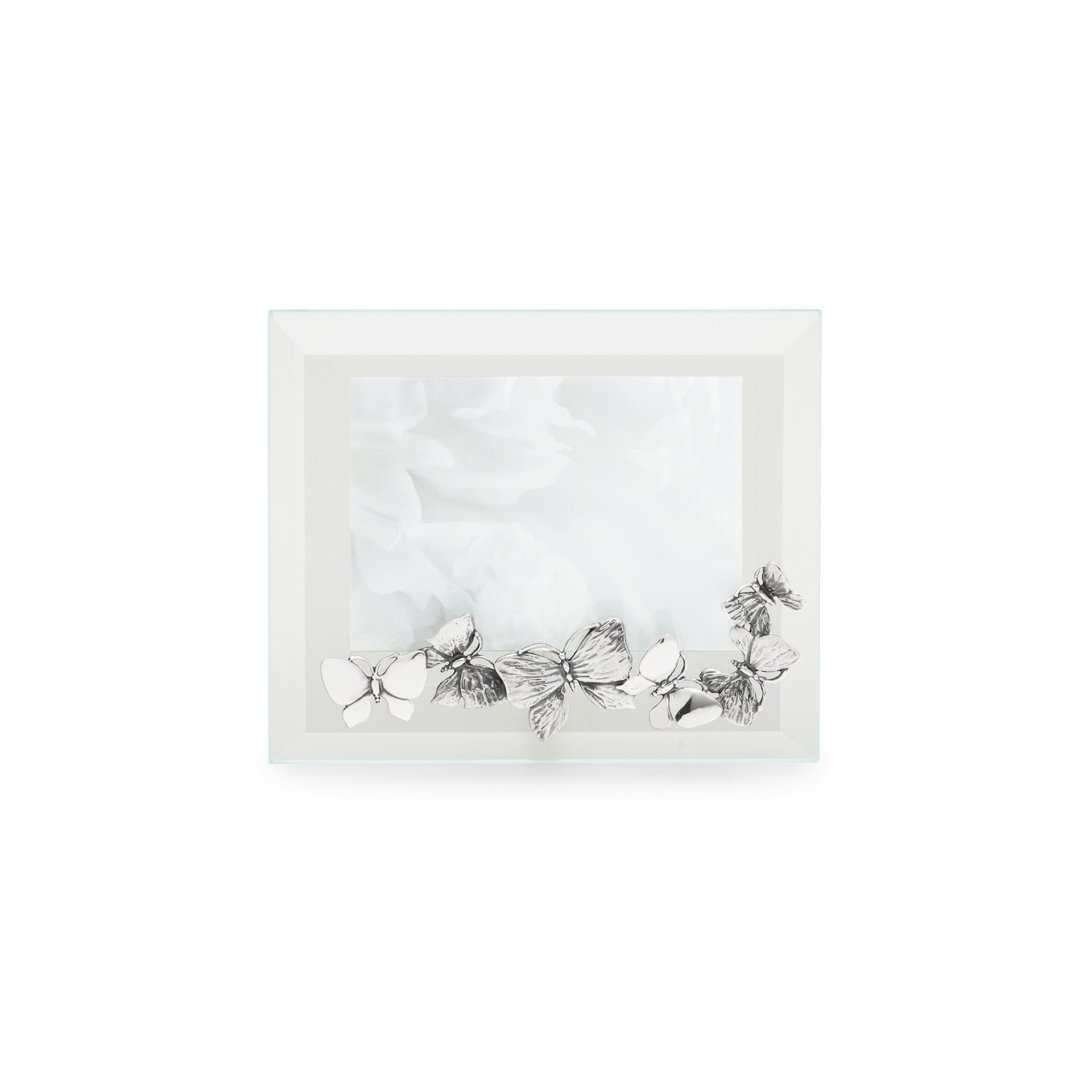 Butterflies Large Horizontal Light Frame image number 0