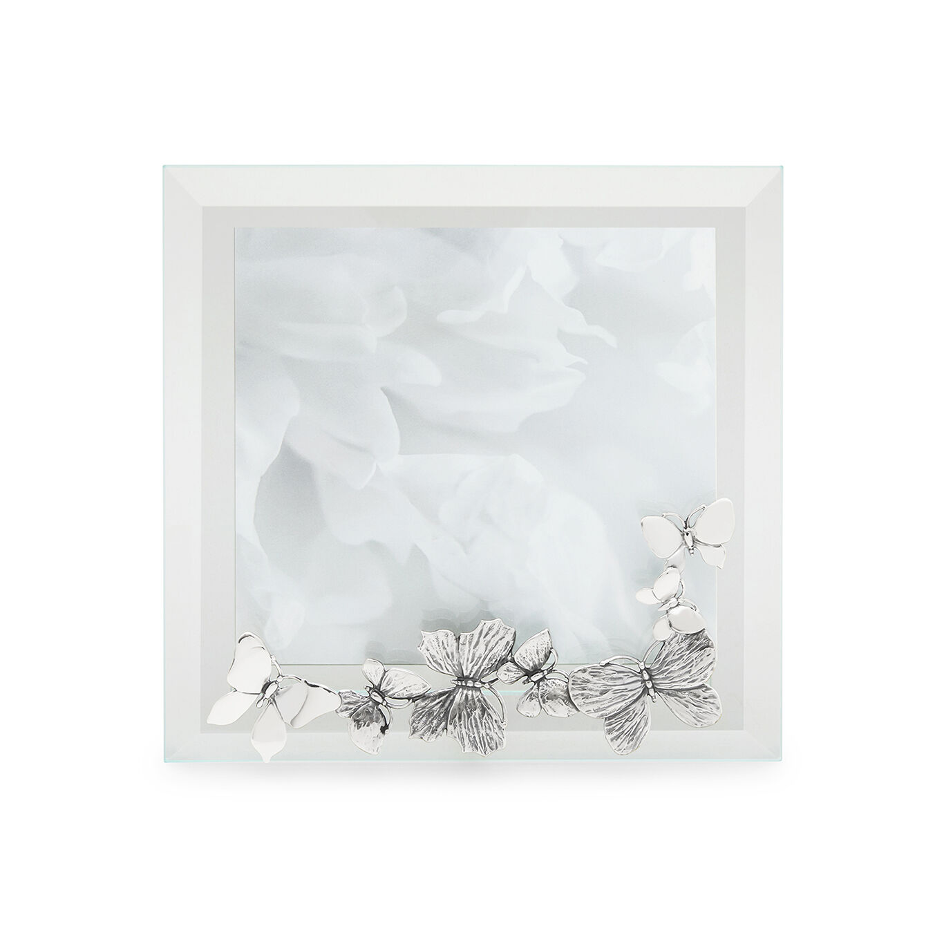 Designer silver frames