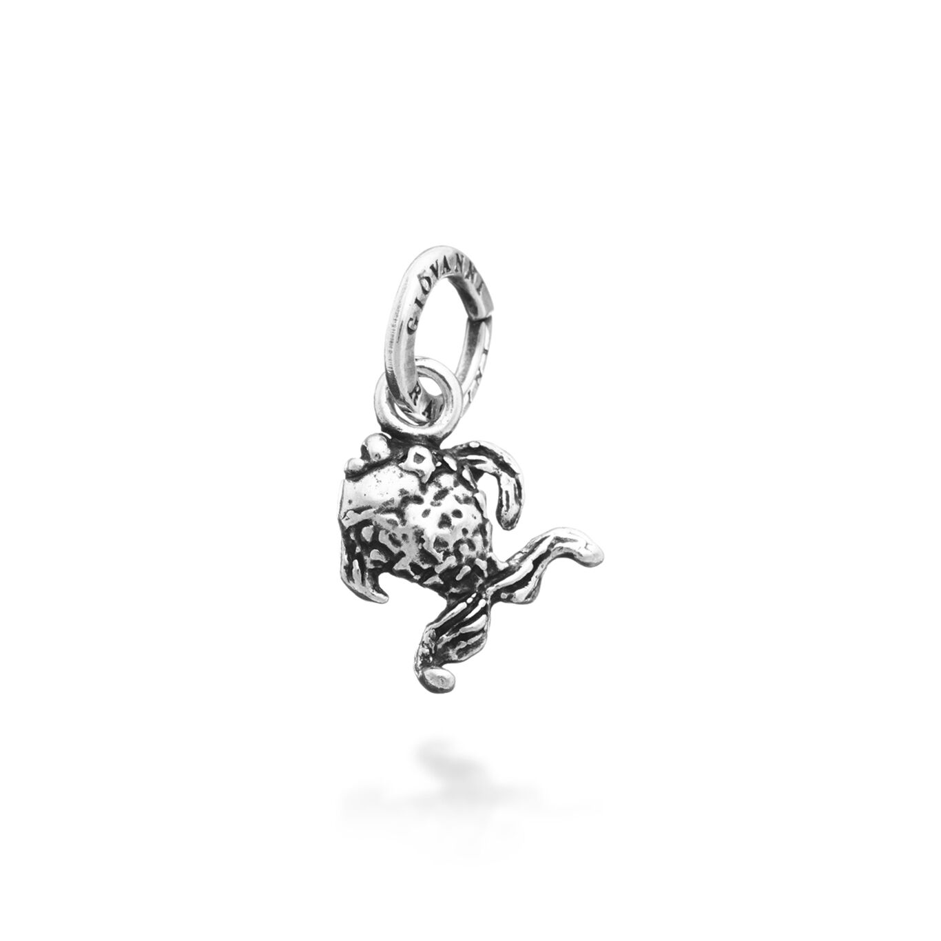 Small fish Charm, Charm in Sterling Silver_image number 0_Giovanni Raspini