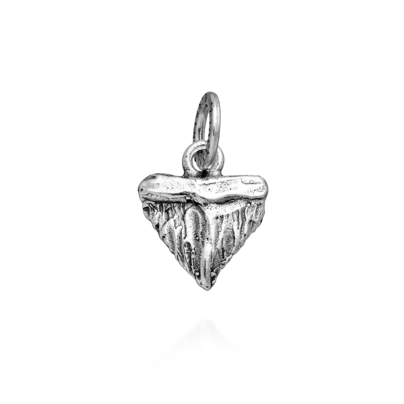 Shark Tooth Charm