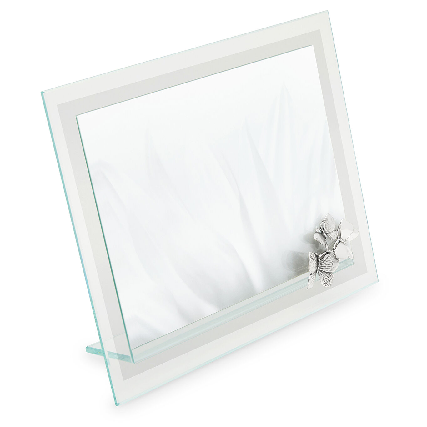 Butterflies Frame