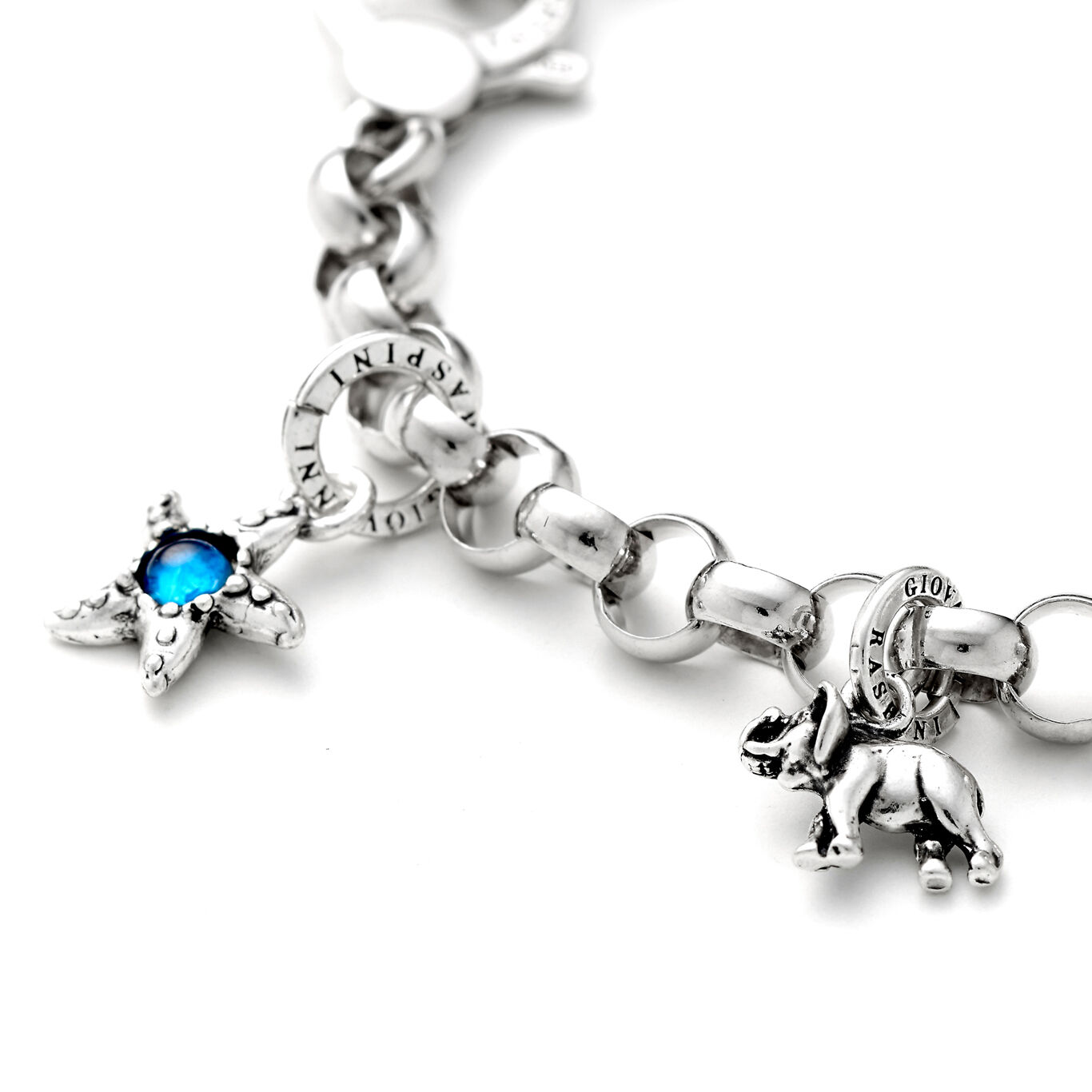 Charm Estrella de Mar Color