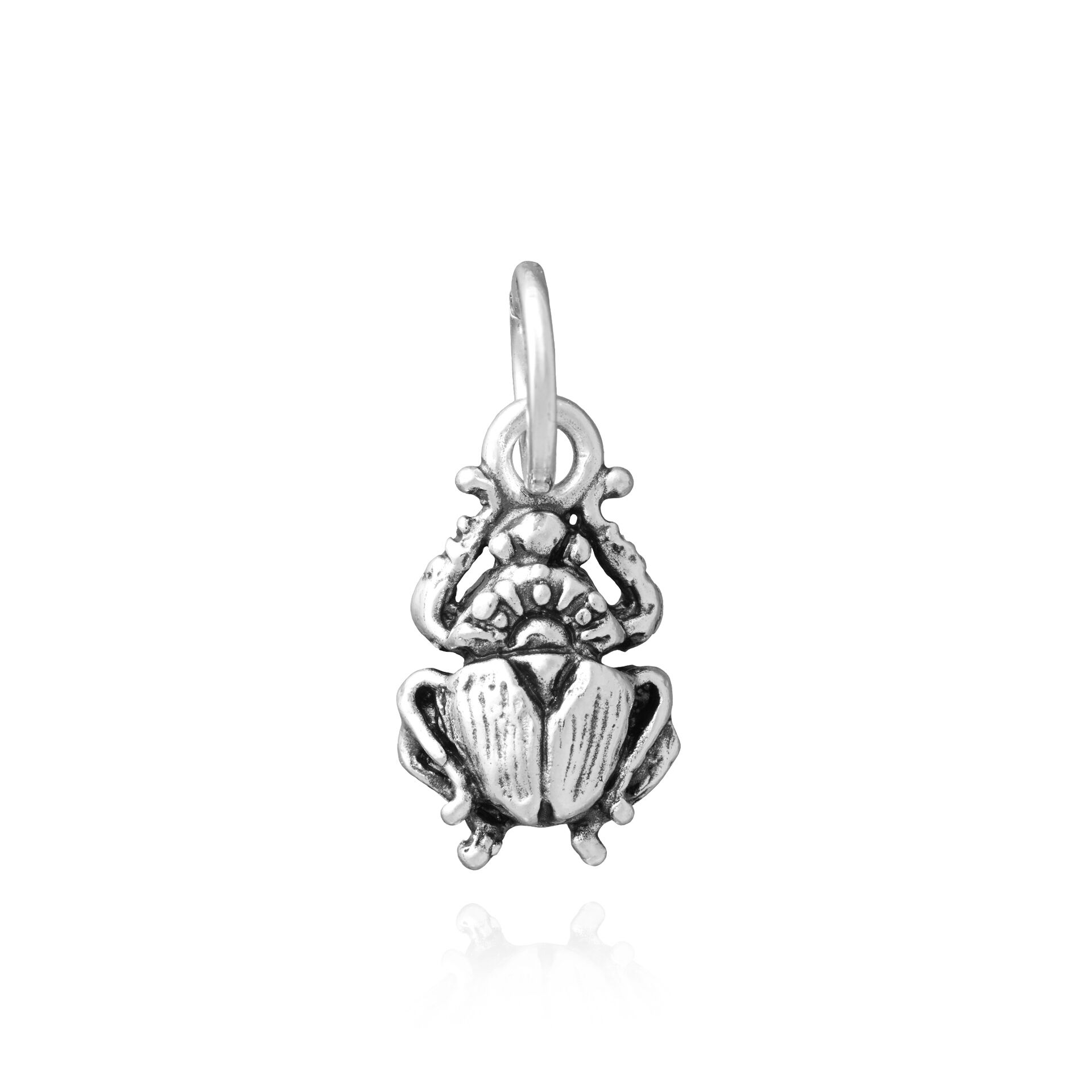 Charm Escarabajo image number 0