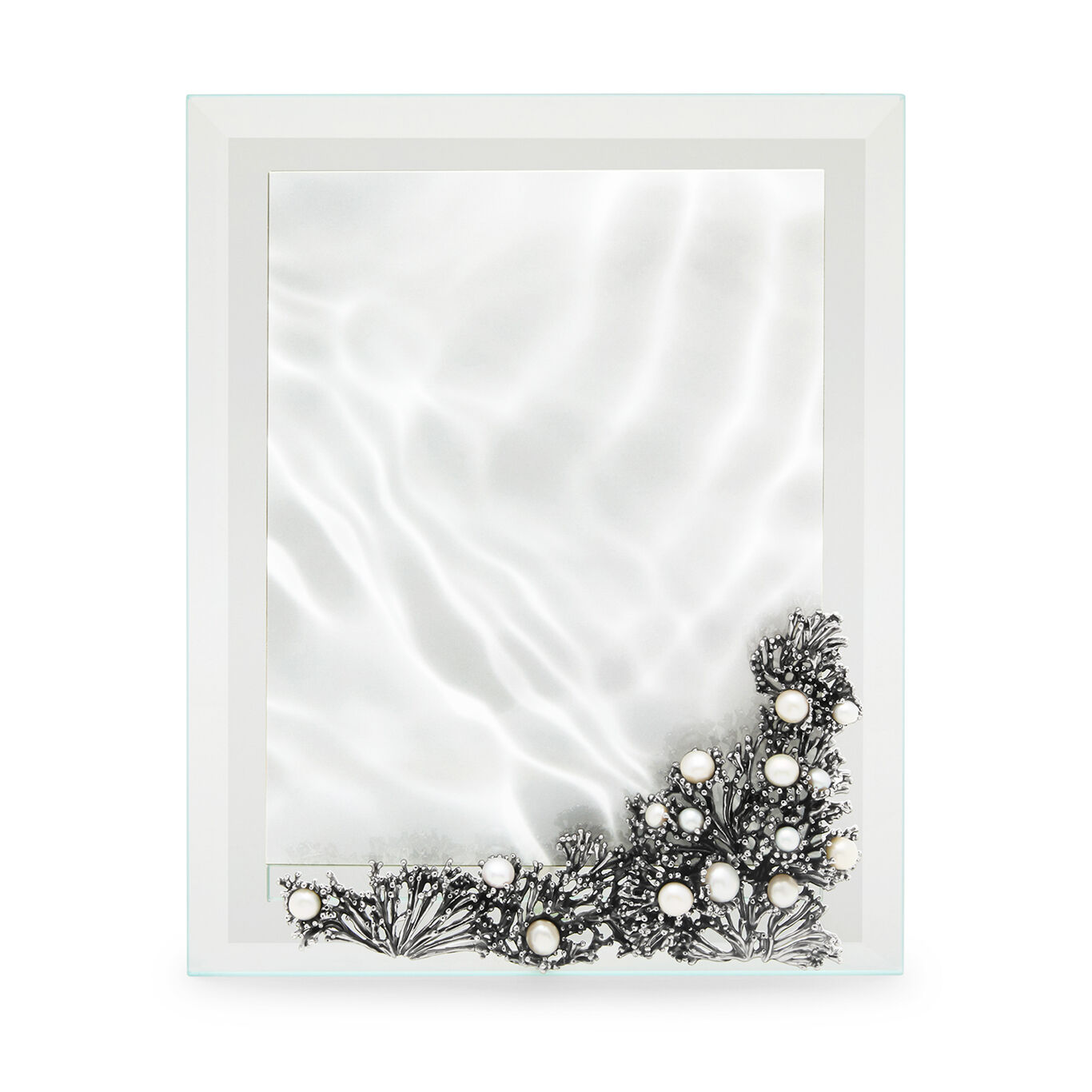 Anemone Light Frame