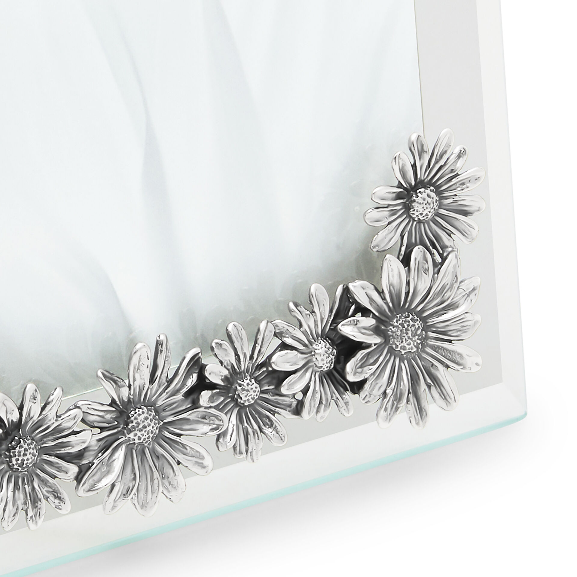Daisies Medium Horizontal Light Frame image number 3